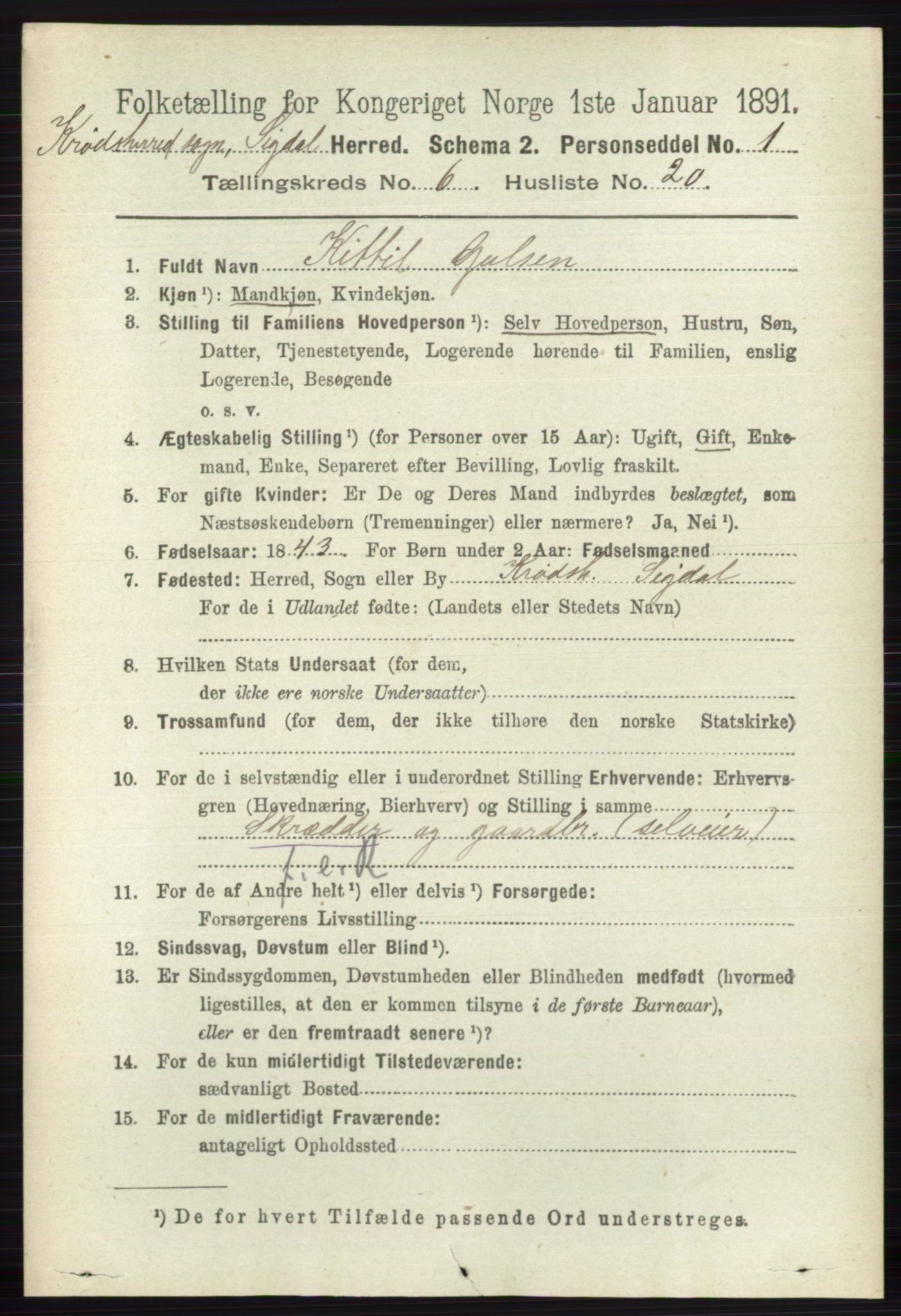 RA, 1891 census for 0621 Sigdal, 1891, p. 6763