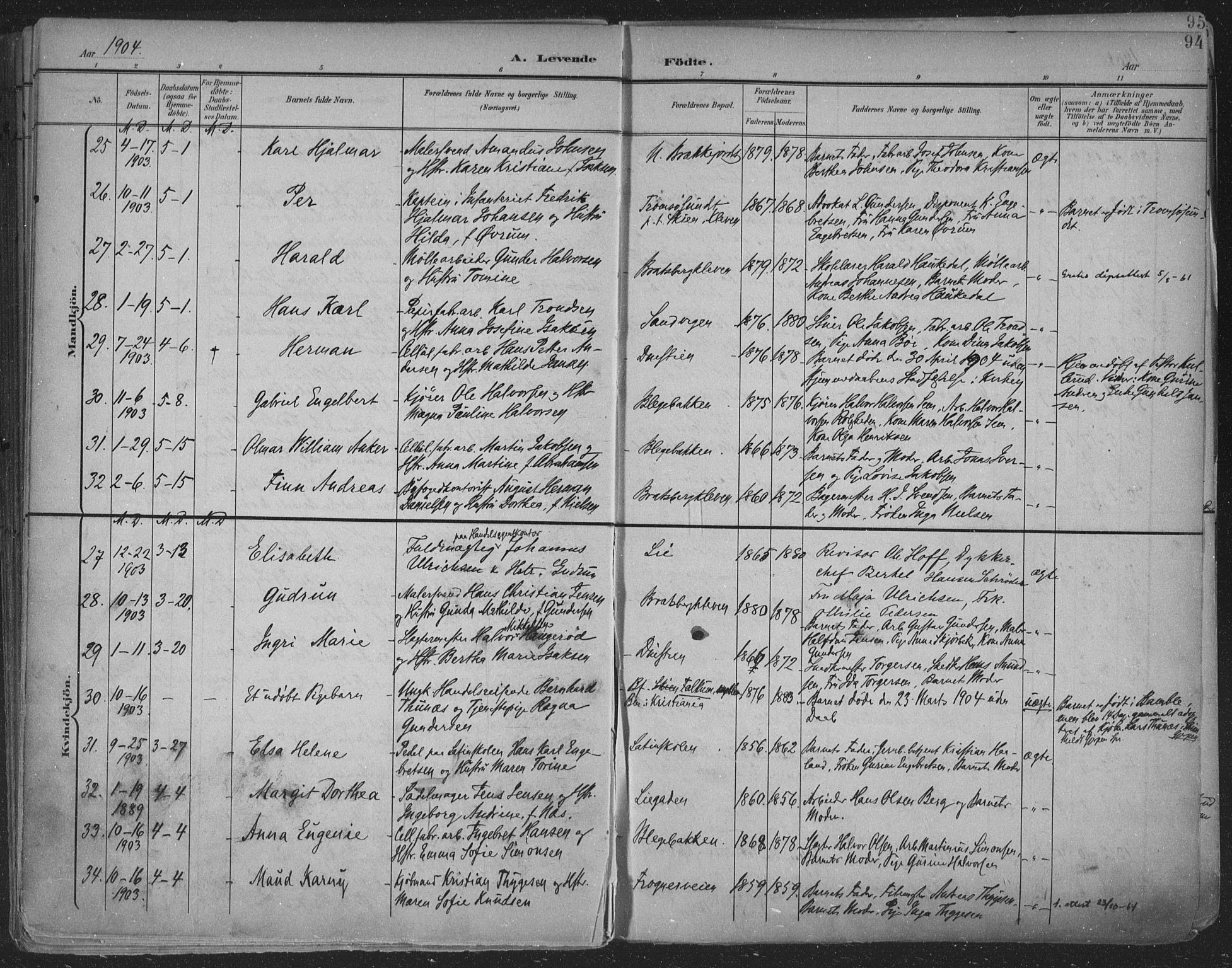 Skien kirkebøker, SAKO/A-302/F/Fa/L0011: Parish register (official) no. 11, 1900-1907, p. 94