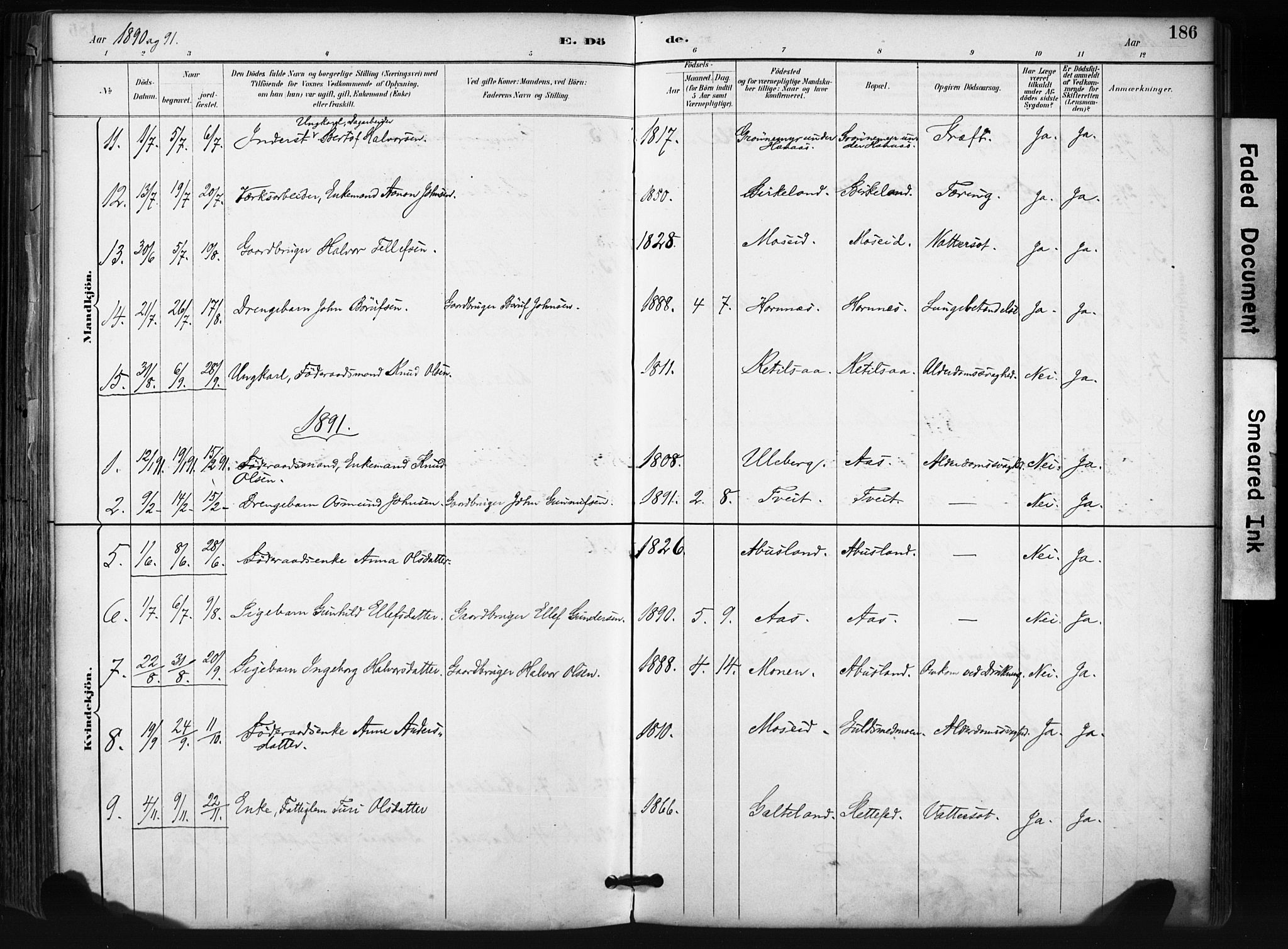 Evje sokneprestkontor, SAK/1111-0008/F/Fa/Fab/L0003: Parish register (official) no. A 3, 1884-1909, p. 186