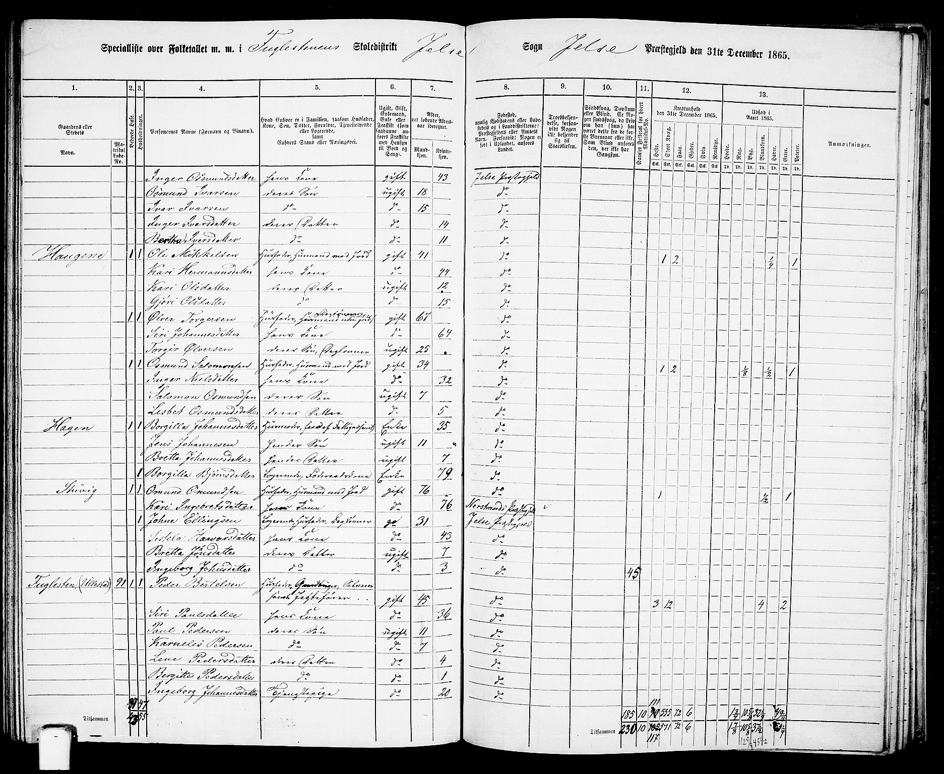 RA, 1865 census for Jelsa, 1865, p. 90