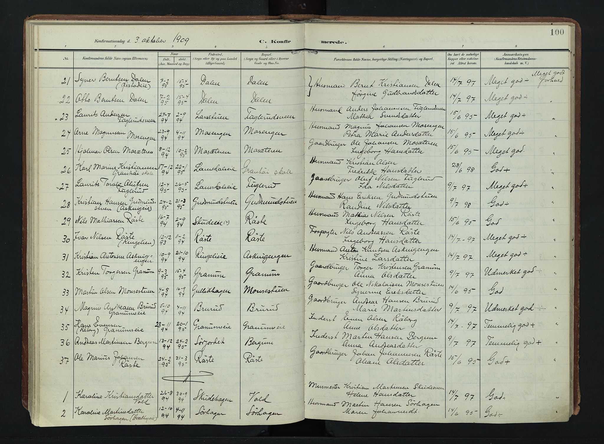 Søndre Land prestekontor, SAH/PREST-122/K/L0007: Parish register (official) no. 7, 1905-1914, p. 100