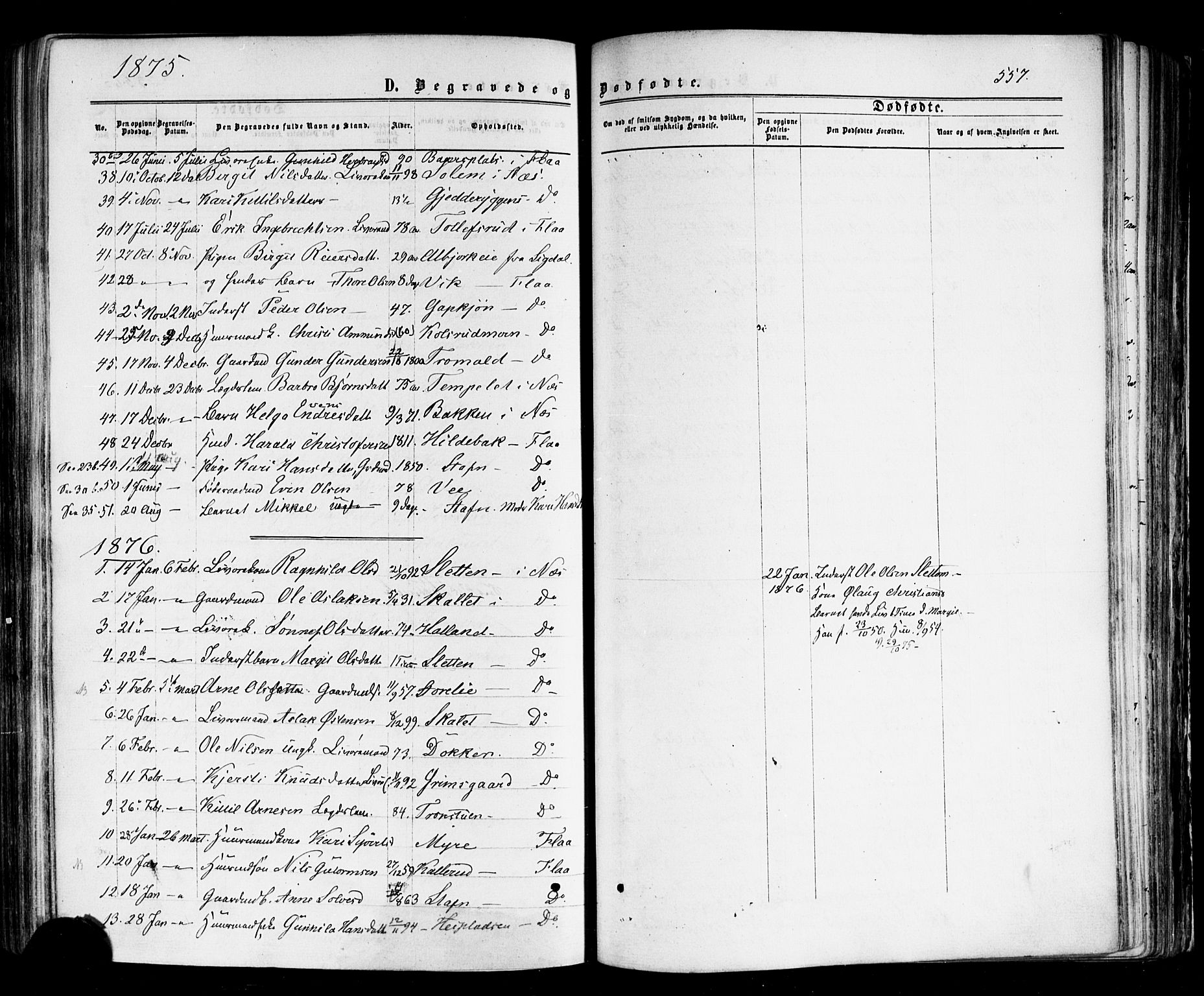 Nes kirkebøker, AV/SAKO-A-236/F/Fa/L0010: Parish register (official) no. 10, 1864-1880, p. 557