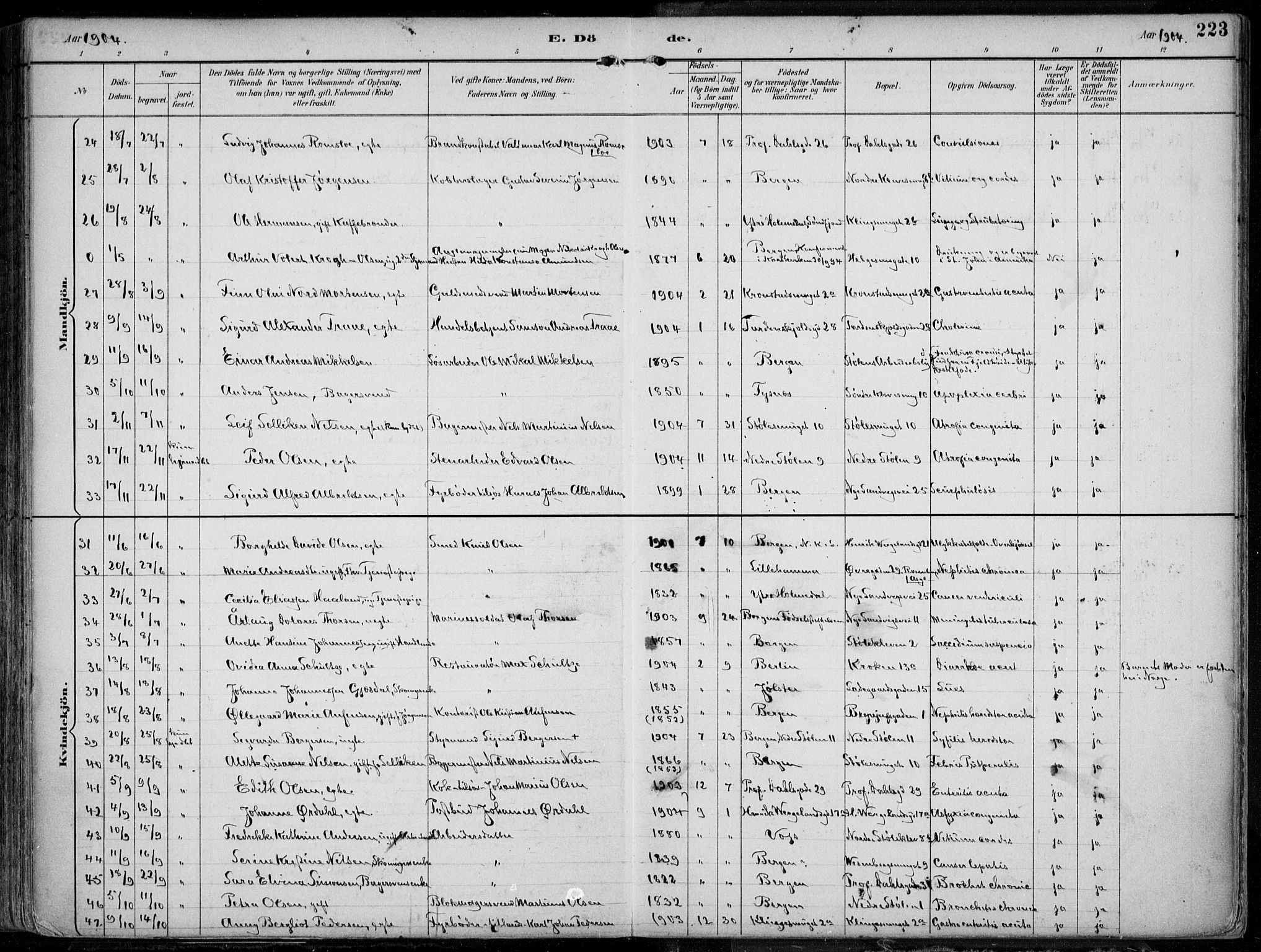 Mariakirken Sokneprestembete, AV/SAB-A-76901/H/Hab/L0005: Parish register (copy) no. A 5, 1893-1913, p. 223