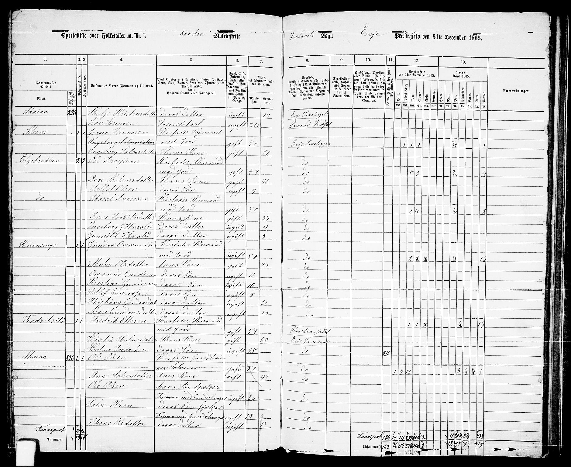 RA, 1865 census for Evje, 1865, p. 160