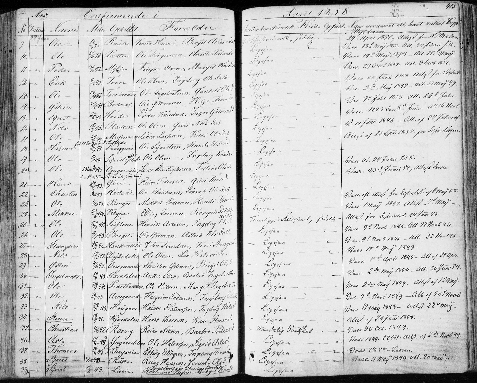 Nes kirkebøker, AV/SAKO-A-236/F/Fa/L0009: Parish register (official) no. 9, 1834-1863, p. 413