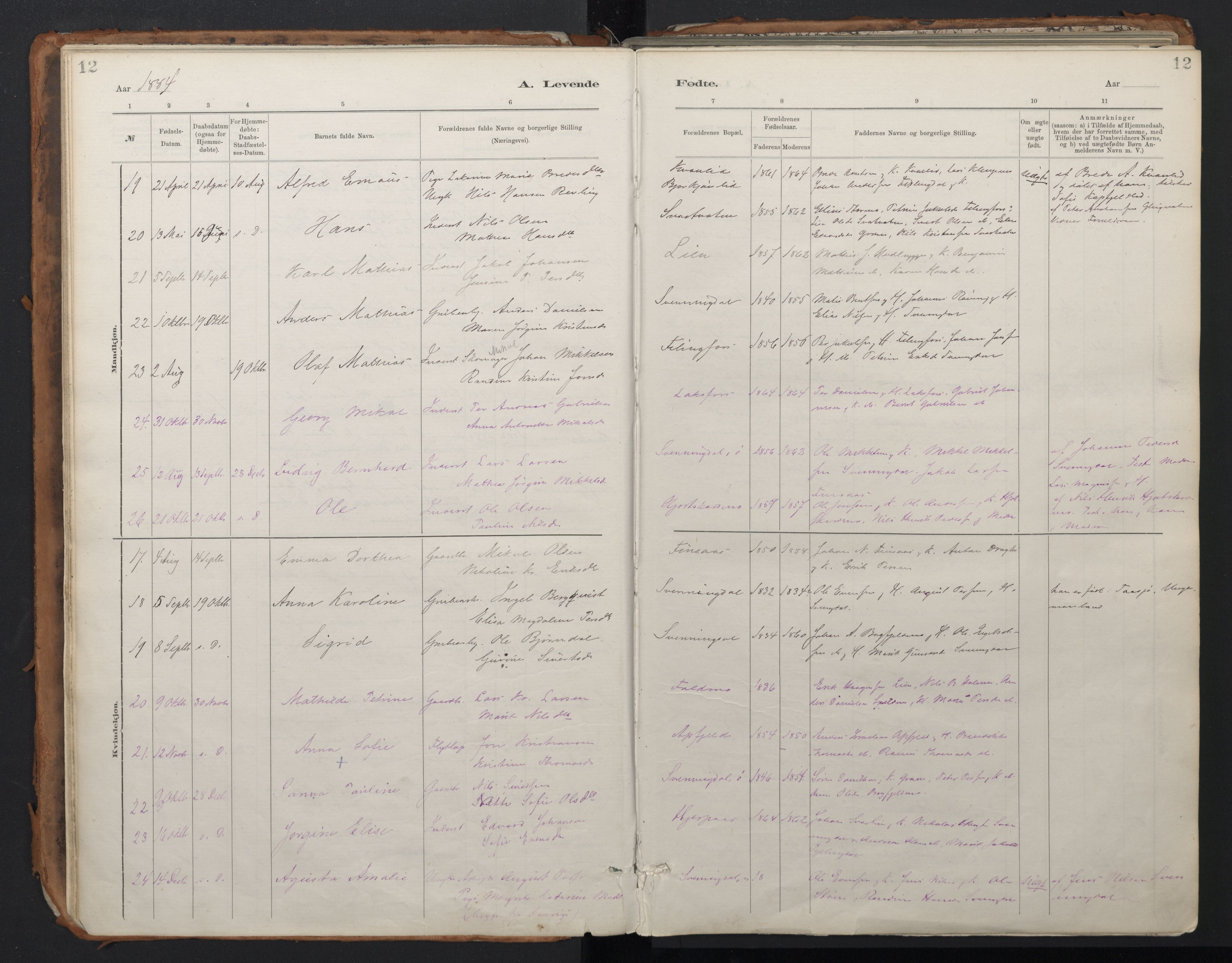 Ministerialprotokoller, klokkerbøker og fødselsregistre - Nordland, SAT/A-1459/824/L0338: Parish register (official) no. 824A01, 1880-1915, p. 12