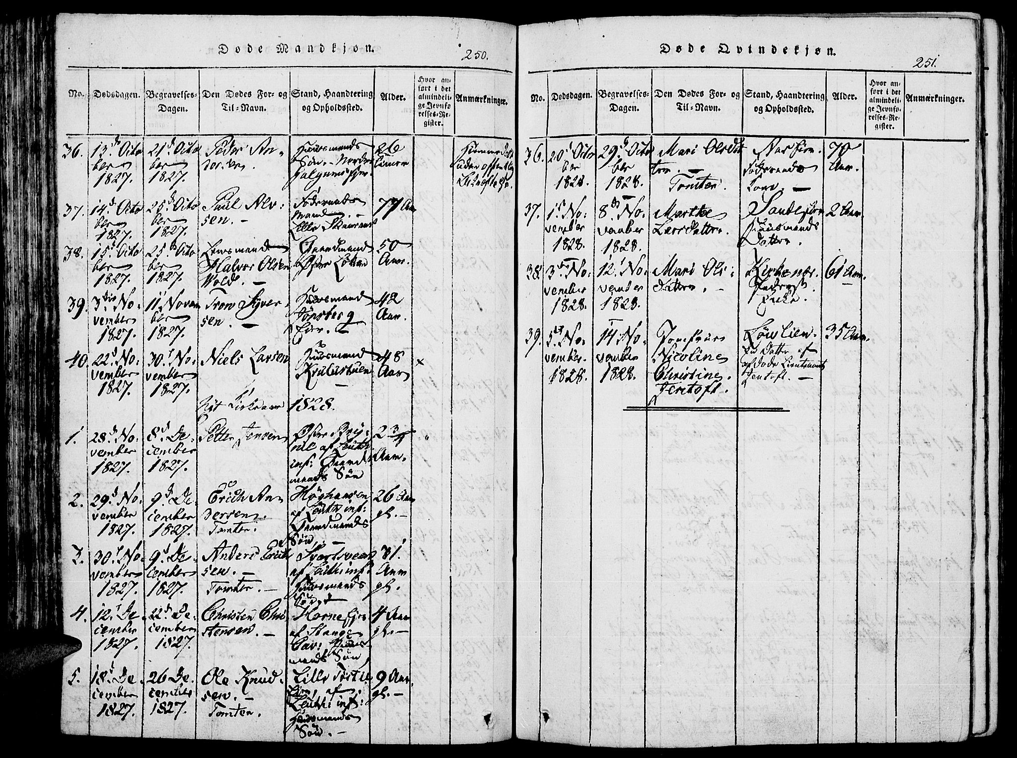 Romedal prestekontor, AV/SAH-PREST-004/K/L0002: Parish register (official) no. 2, 1814-1828, p. 250-251