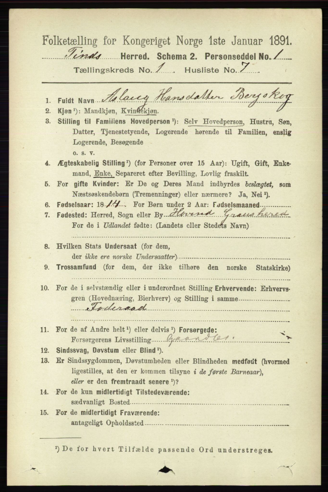 RA, 1891 census for 0826 Tinn, 1891, p. 81