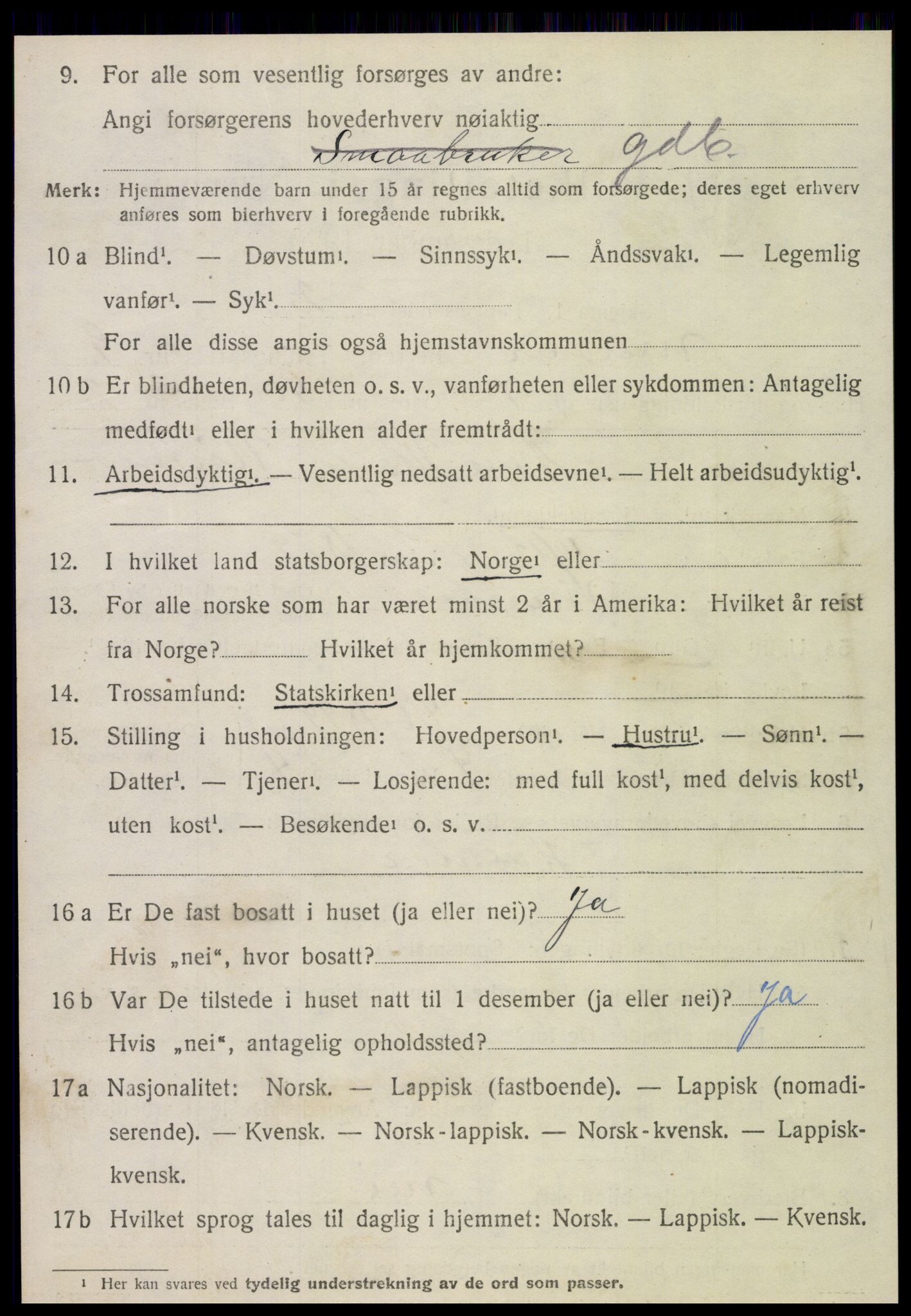 SAT, 1920 census for Meråker, 1920, p. 6217