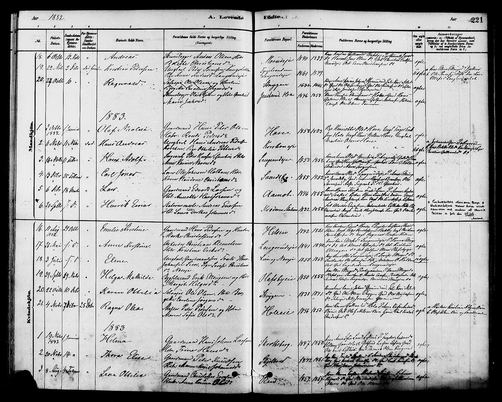 Modum kirkebøker, SAKO/A-234/F/Fa/L0015: Parish register (official) no. 15 /2, 1877-1889, p. 221