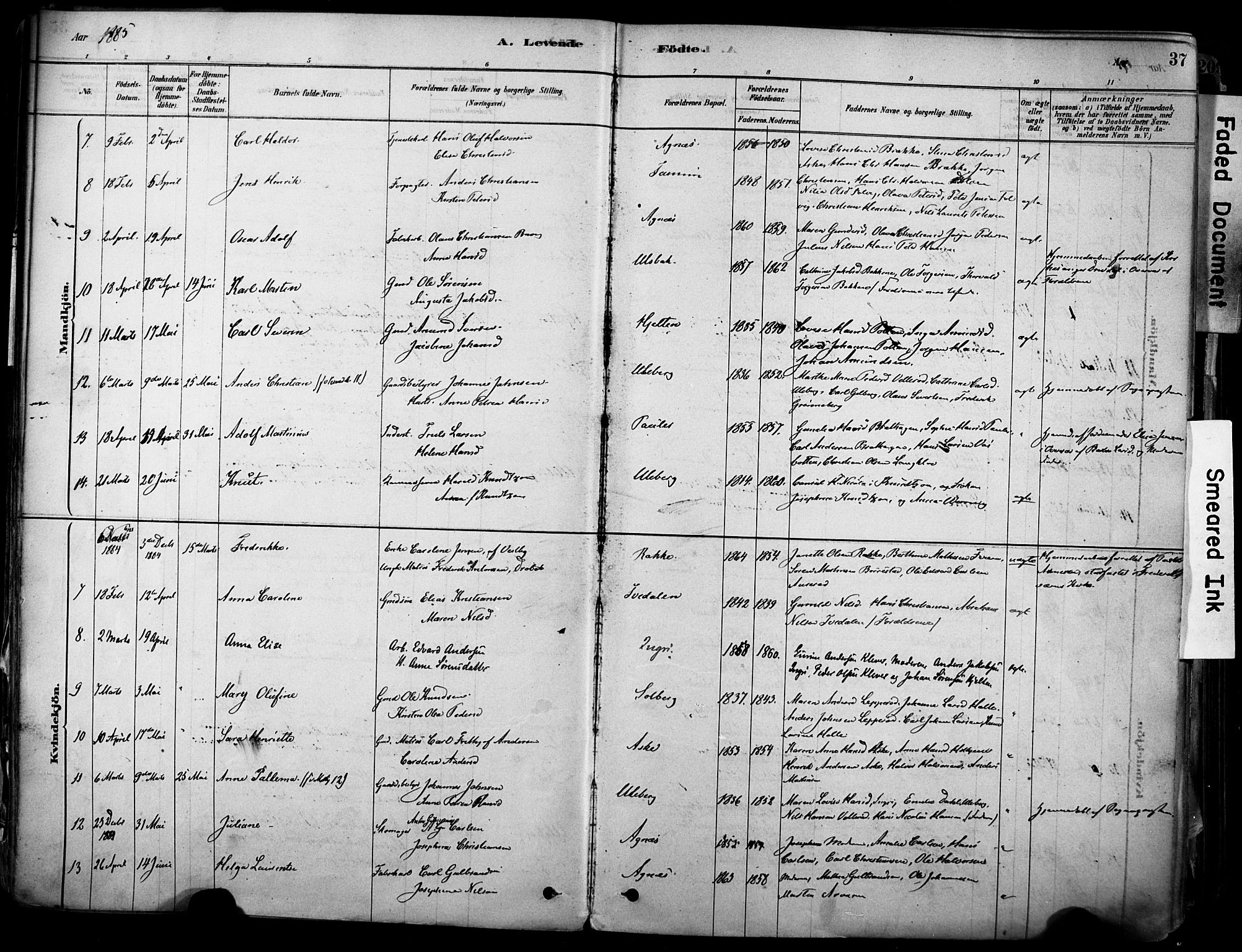 Brunlanes kirkebøker, AV/SAKO-A-342/F/Fc/L0001: Parish register (official) no. III 1, 1878-1899, p. 37