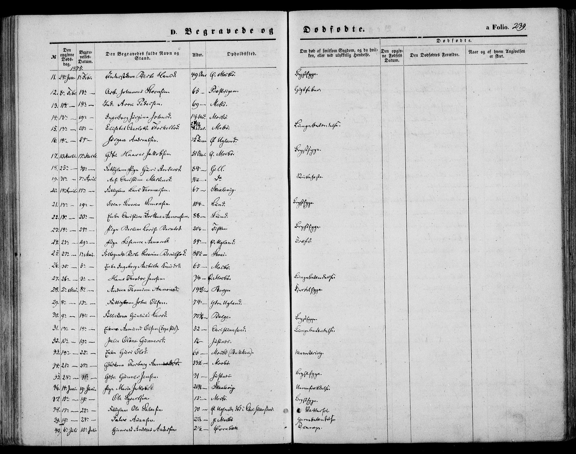 Oddernes sokneprestkontor, AV/SAK-1111-0033/F/Fa/Faa/L0008: Parish register (official) no. A 8, 1864-1880, p. 239