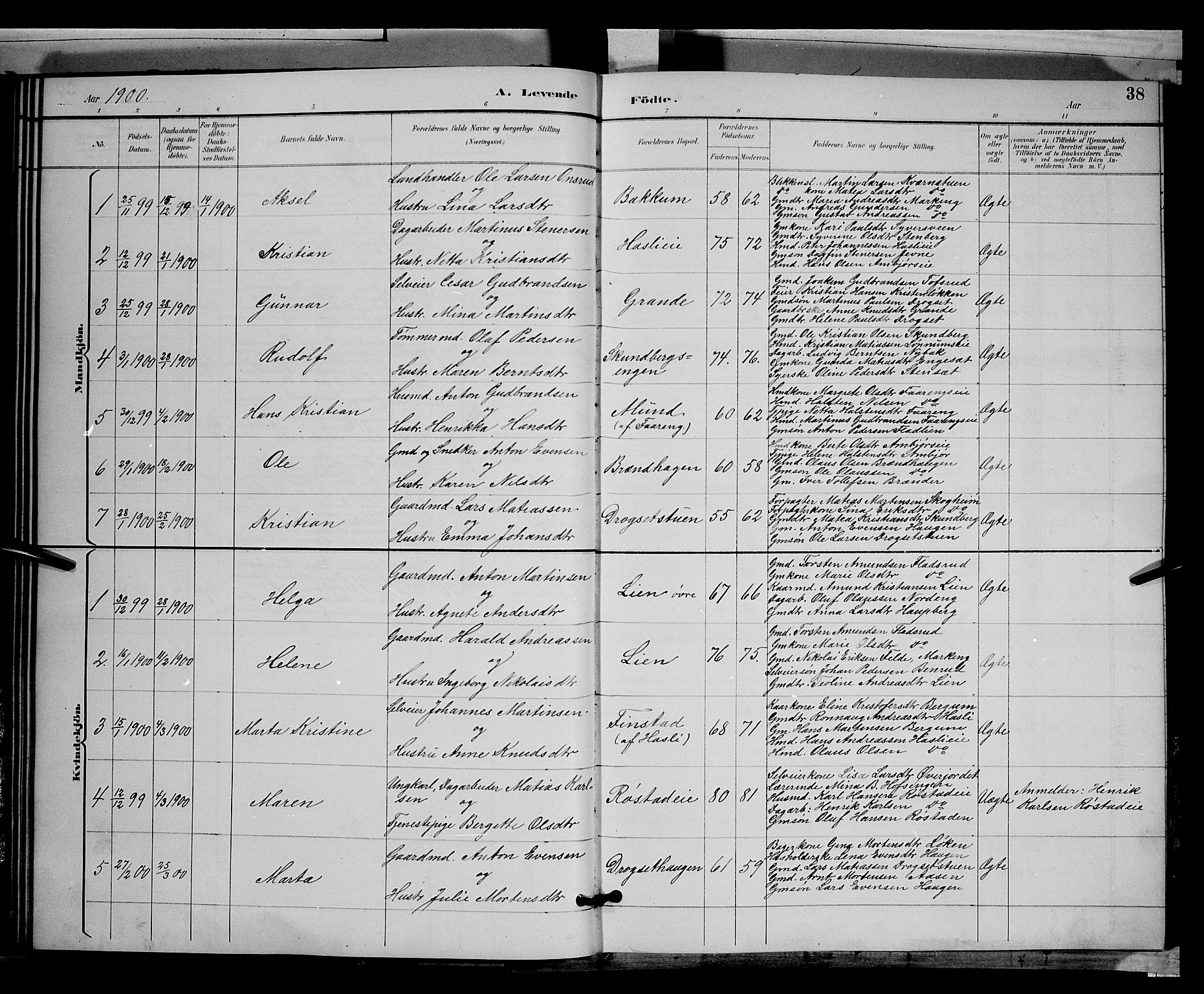 Biri prestekontor, SAH/PREST-096/H/Ha/Hab/L0003: Parish register (copy) no. 3, 1892-1905, p. 38