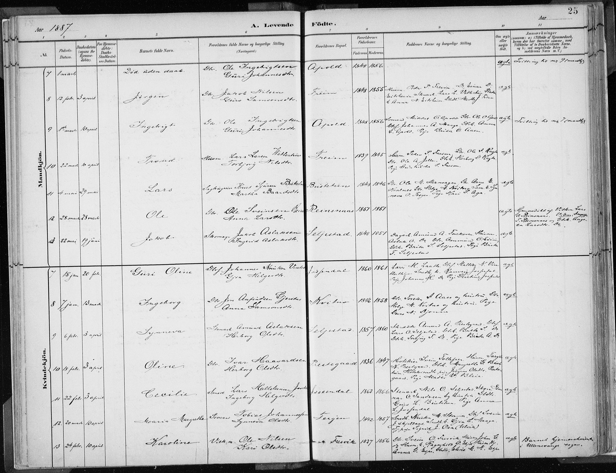 Odda Sokneprestembete, SAB/A-77201/H/Haa: Parish register (official) no. A  3, 1882-1913, p. 25