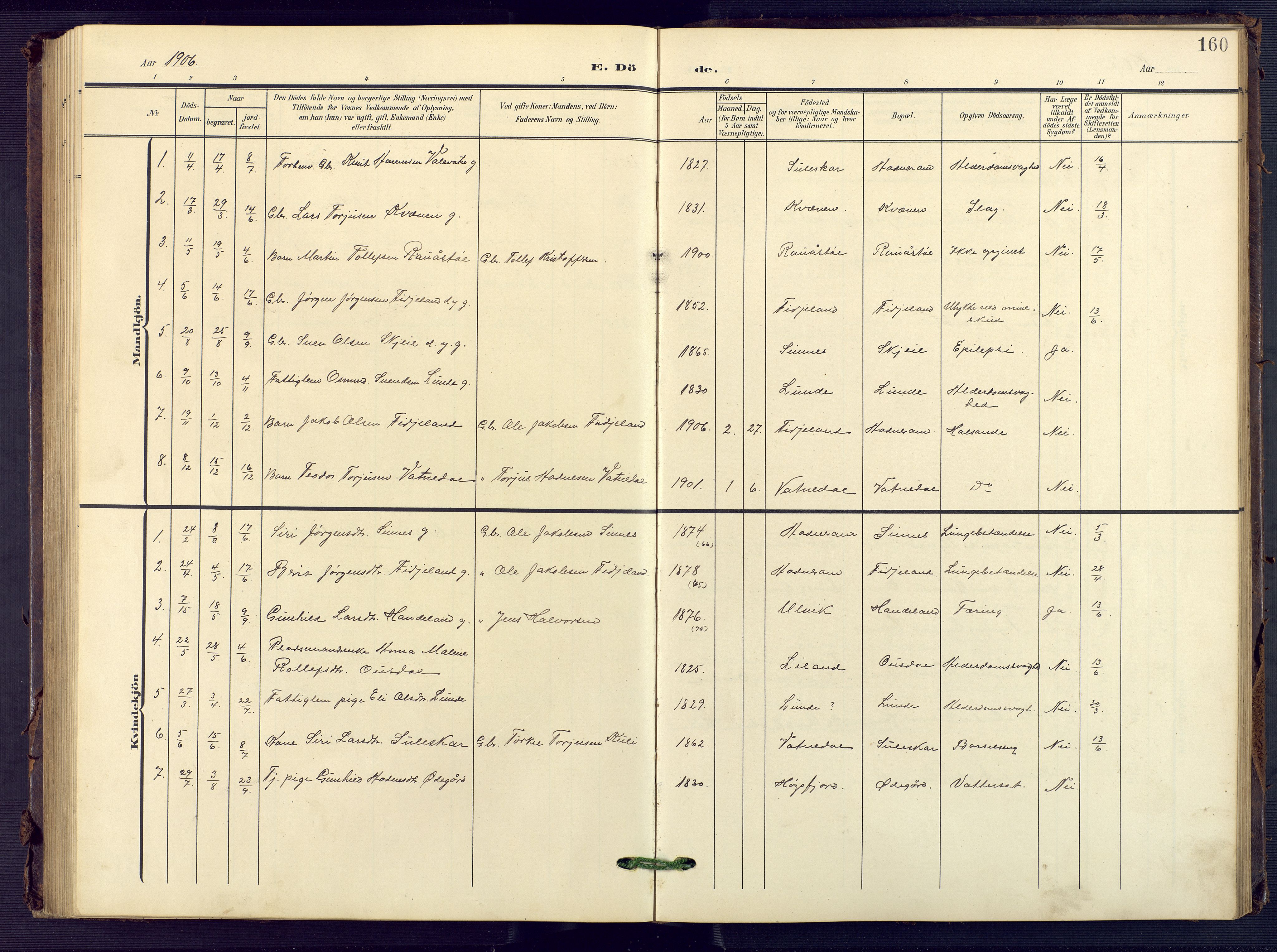 Sirdal sokneprestkontor, SAK/1111-0036/F/Fb/Fba/L0002: Parish register (copy) no. B 2, 1905-1958, p. 160