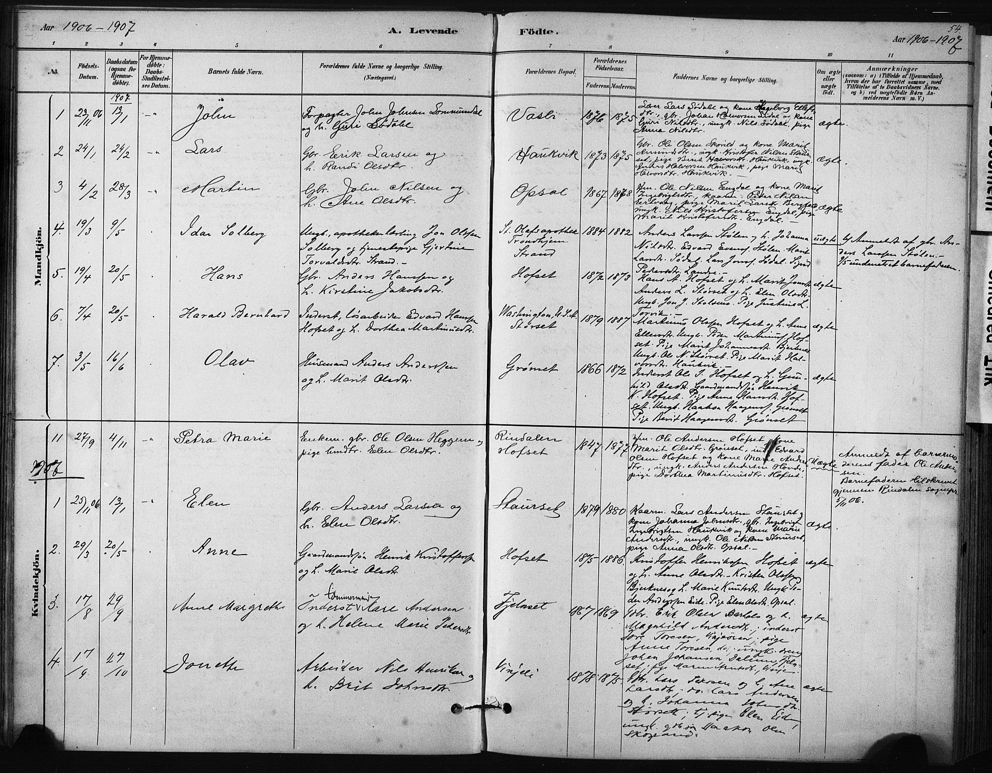 Ministerialprotokoller, klokkerbøker og fødselsregistre - Sør-Trøndelag, SAT/A-1456/631/L0512: Parish register (official) no. 631A01, 1879-1912, p. 54