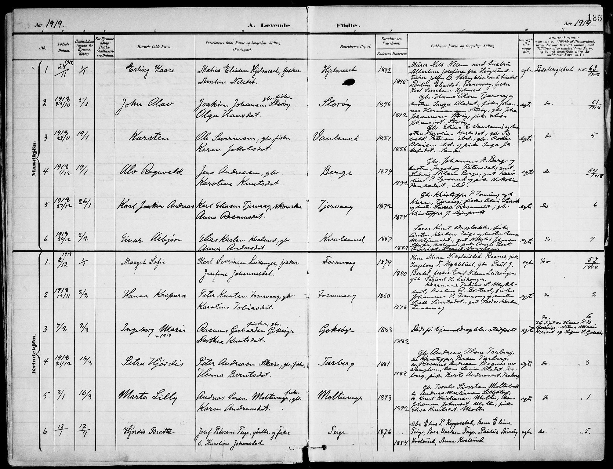 Ministerialprotokoller, klokkerbøker og fødselsregistre - Møre og Romsdal, SAT/A-1454/507/L0075: Parish register (official) no. 507A10, 1901-1920, p. 135