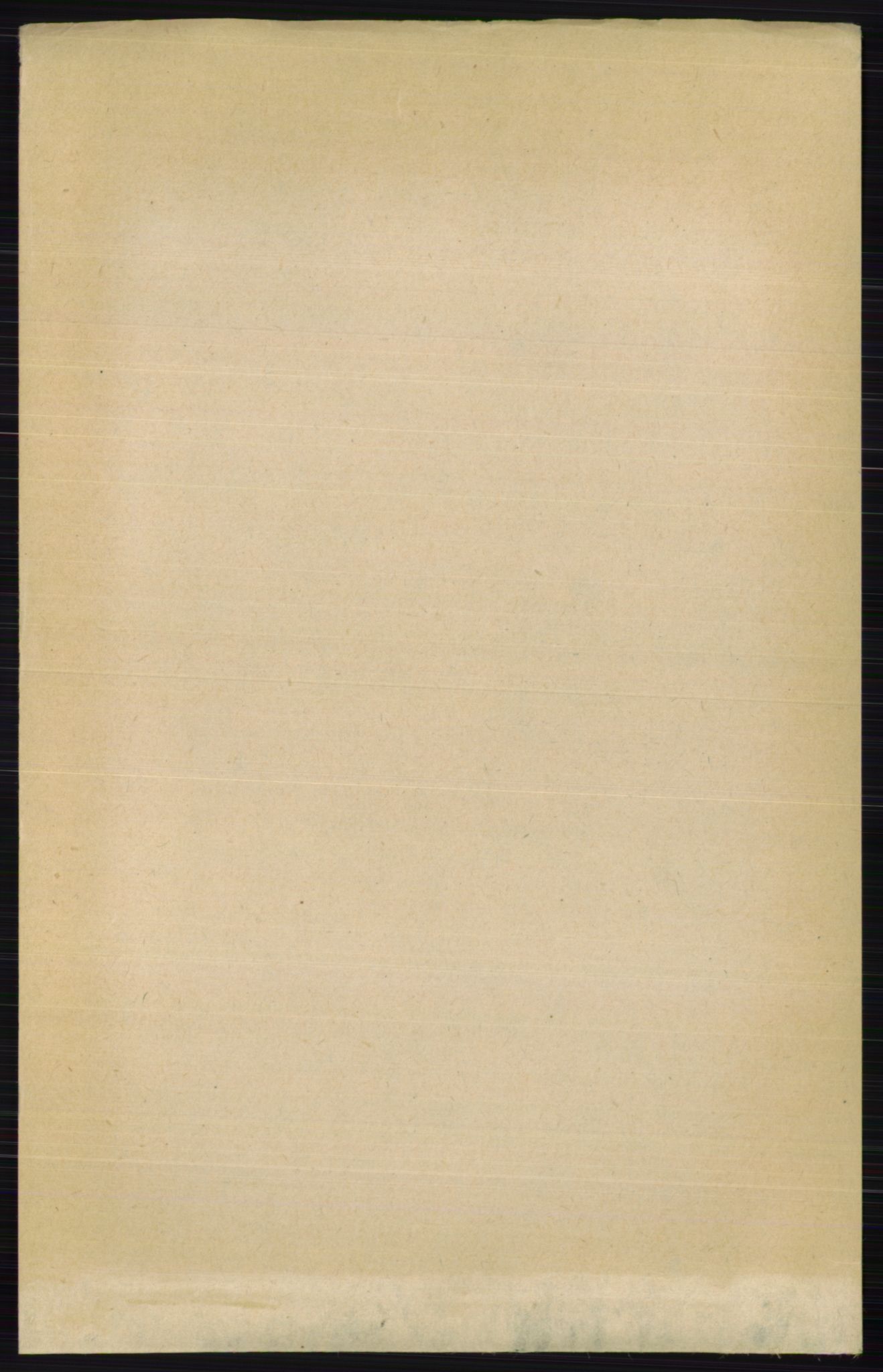 RA, 1891 census for 0412 Ringsaker, 1891, p. 10597