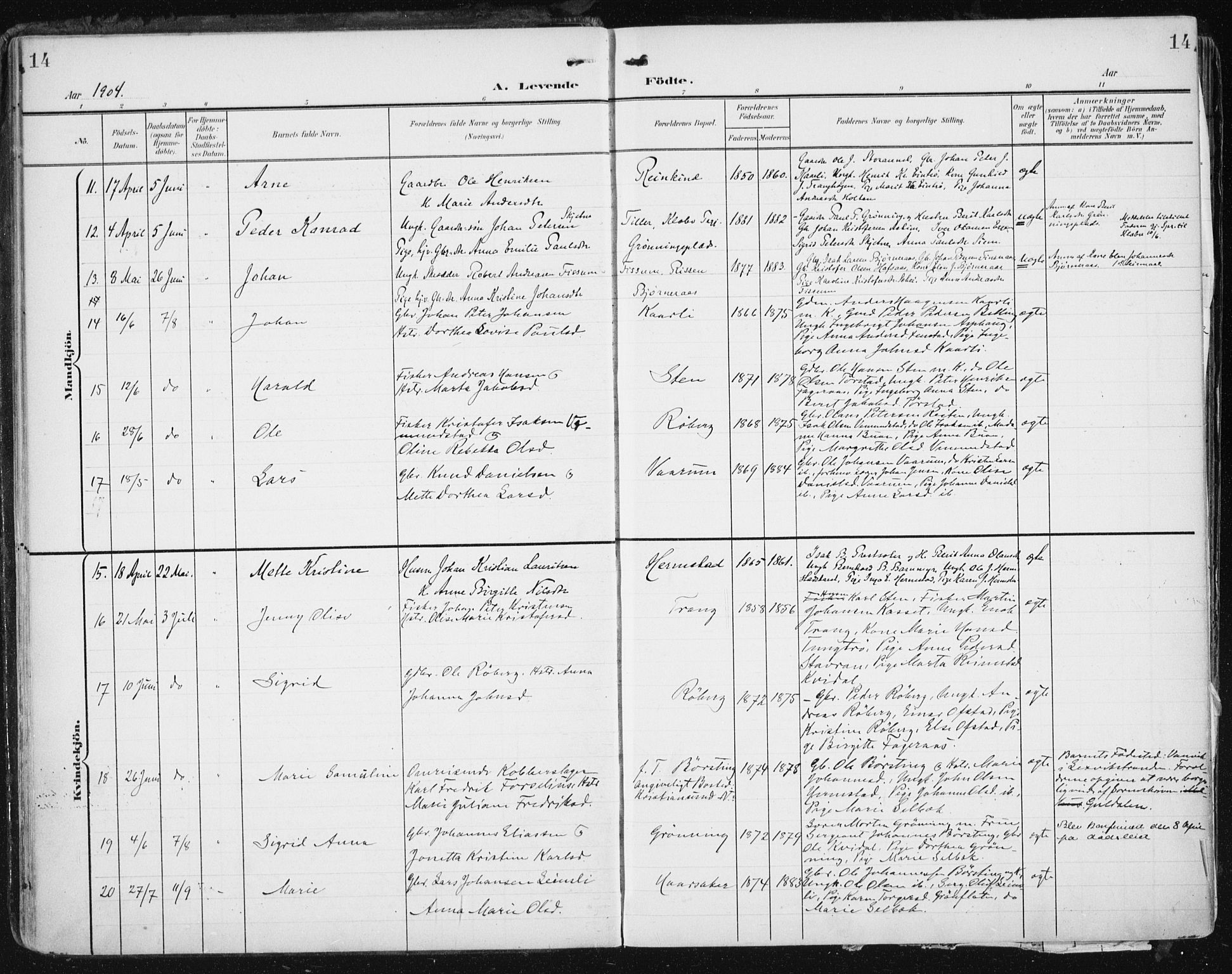 Ministerialprotokoller, klokkerbøker og fødselsregistre - Sør-Trøndelag, SAT/A-1456/646/L0616: Parish register (official) no. 646A14, 1900-1918, p. 14