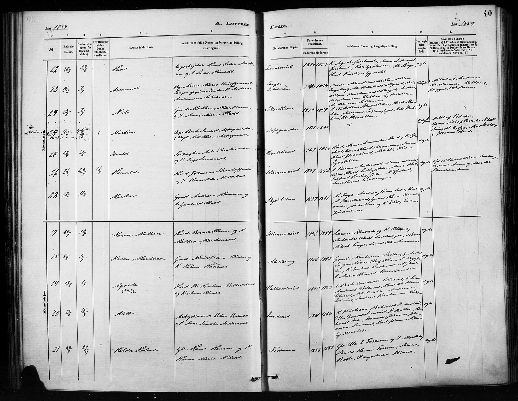 Nordre Land prestekontor, AV/SAH-PREST-124/H/Ha/Haa/L0004: Parish register (official) no. 4, 1882-1896, p. 40