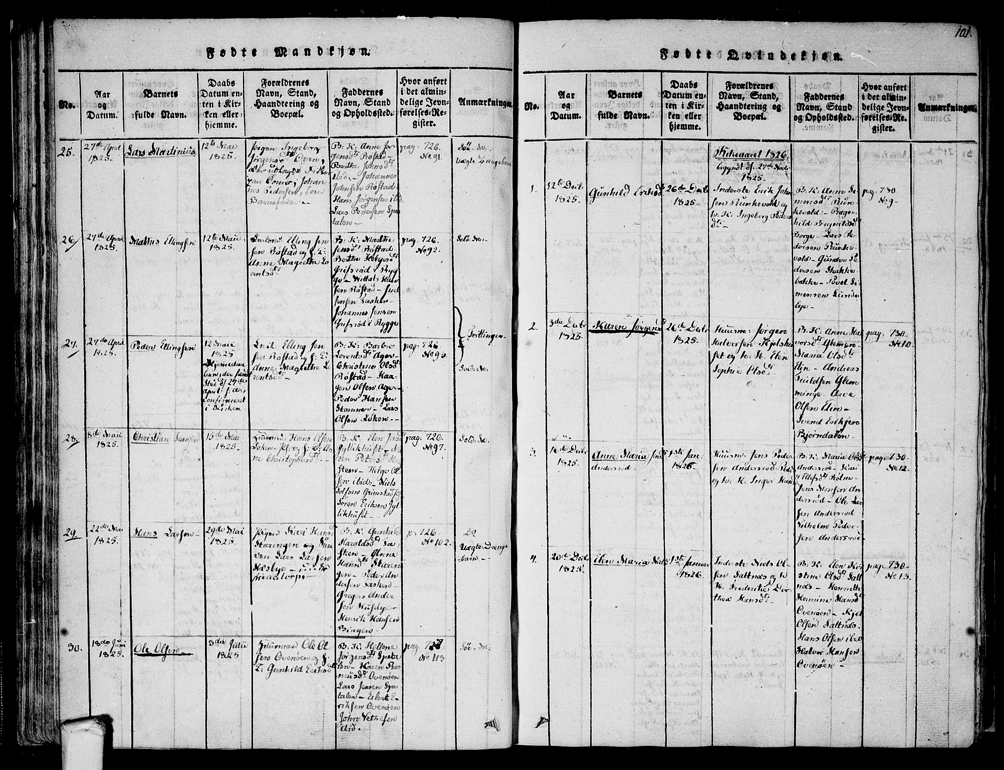 Råde prestekontor kirkebøker, AV/SAO-A-2009/F/Fa/L0004: Parish register (official) no. 4, 1814-1830, p. 100-101