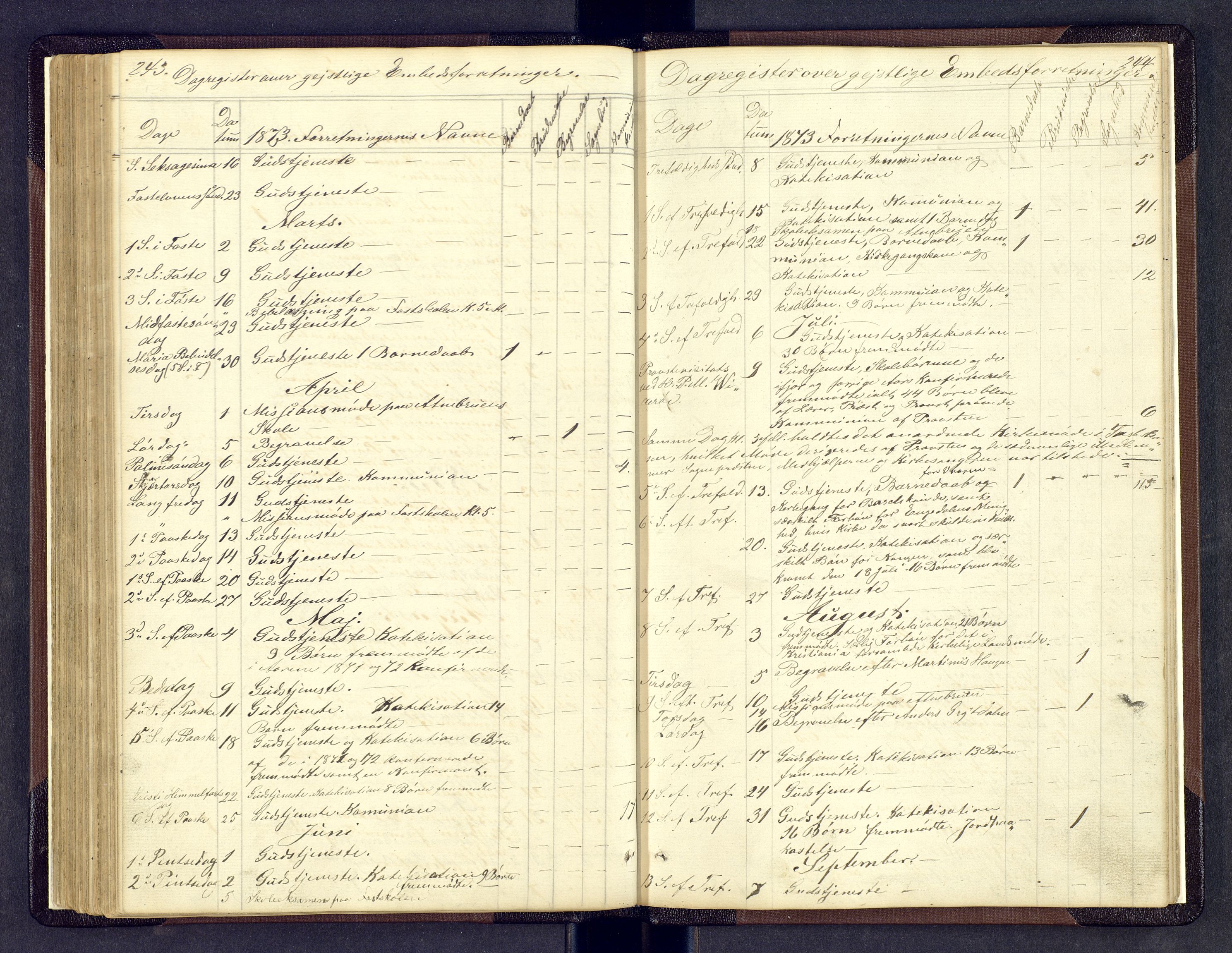 Sollia prestekontor, AV/SAH-PREST-050/H/Ha/Hab/L0001: Parish register (copy) no. 1, 1862-1879, p. 243-244