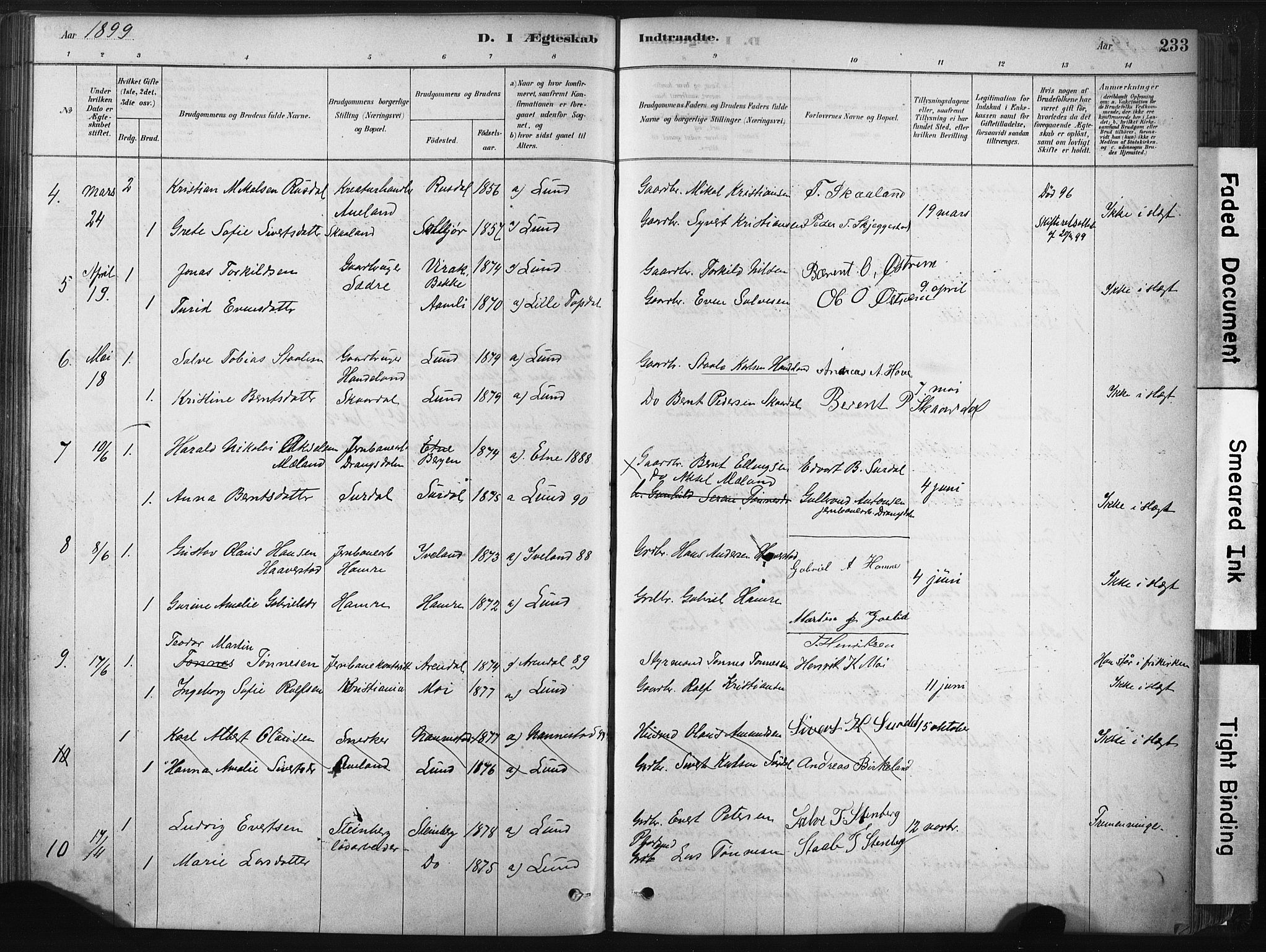 Lund sokneprestkontor, AV/SAST-A-101809/S06/L0011: Parish register (official) no. A 10, 1877-1904, p. 233