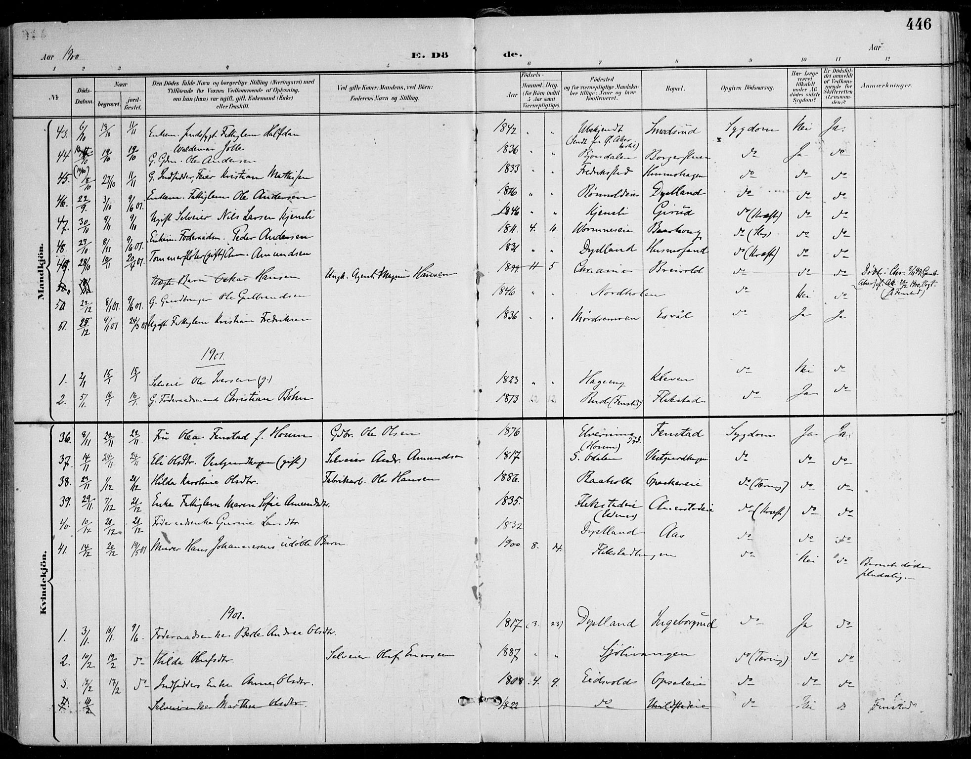 Nes prestekontor Kirkebøker, SAO/A-10410/F/Fa/L0011: Parish register (official) no. I 11, 1899-1918, p. 446