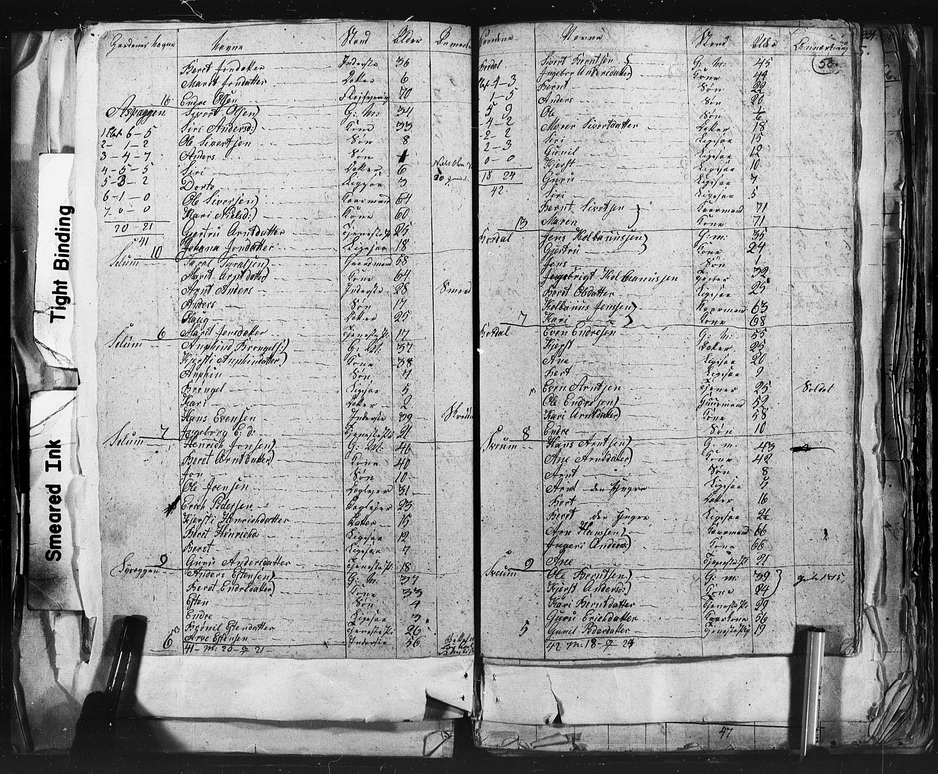 SAT, 1815 Census for Støren parish, 1815, p. 58