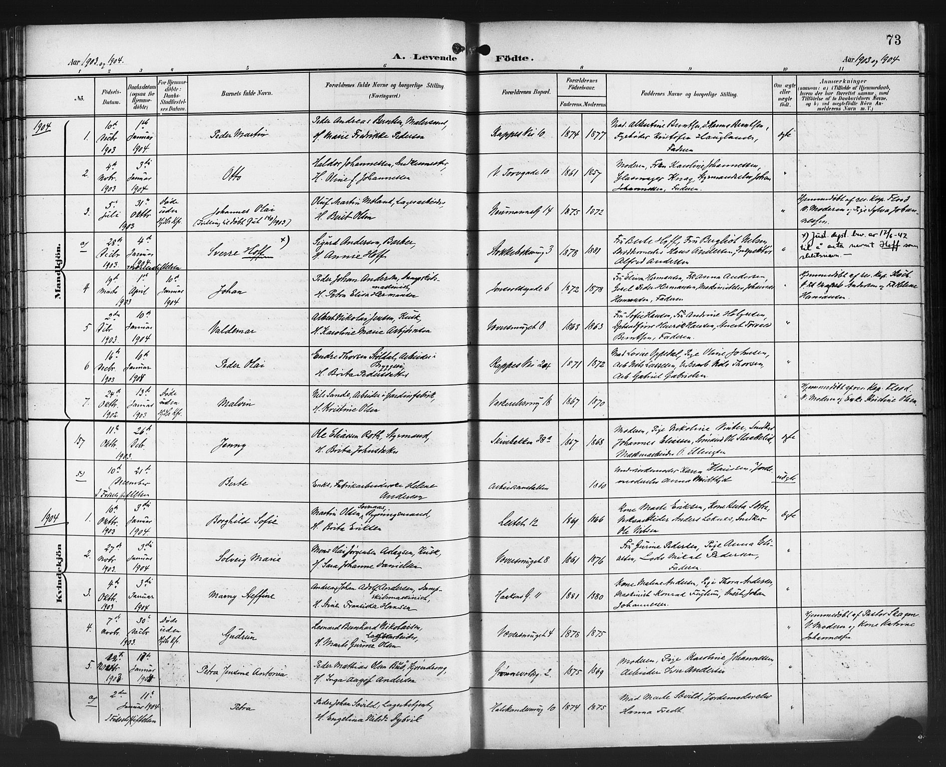 Domkirken sokneprestembete, SAB/A-74801/H/Hab/L0017: Parish register (copy) no. B 10, 1900-1915, p. 73