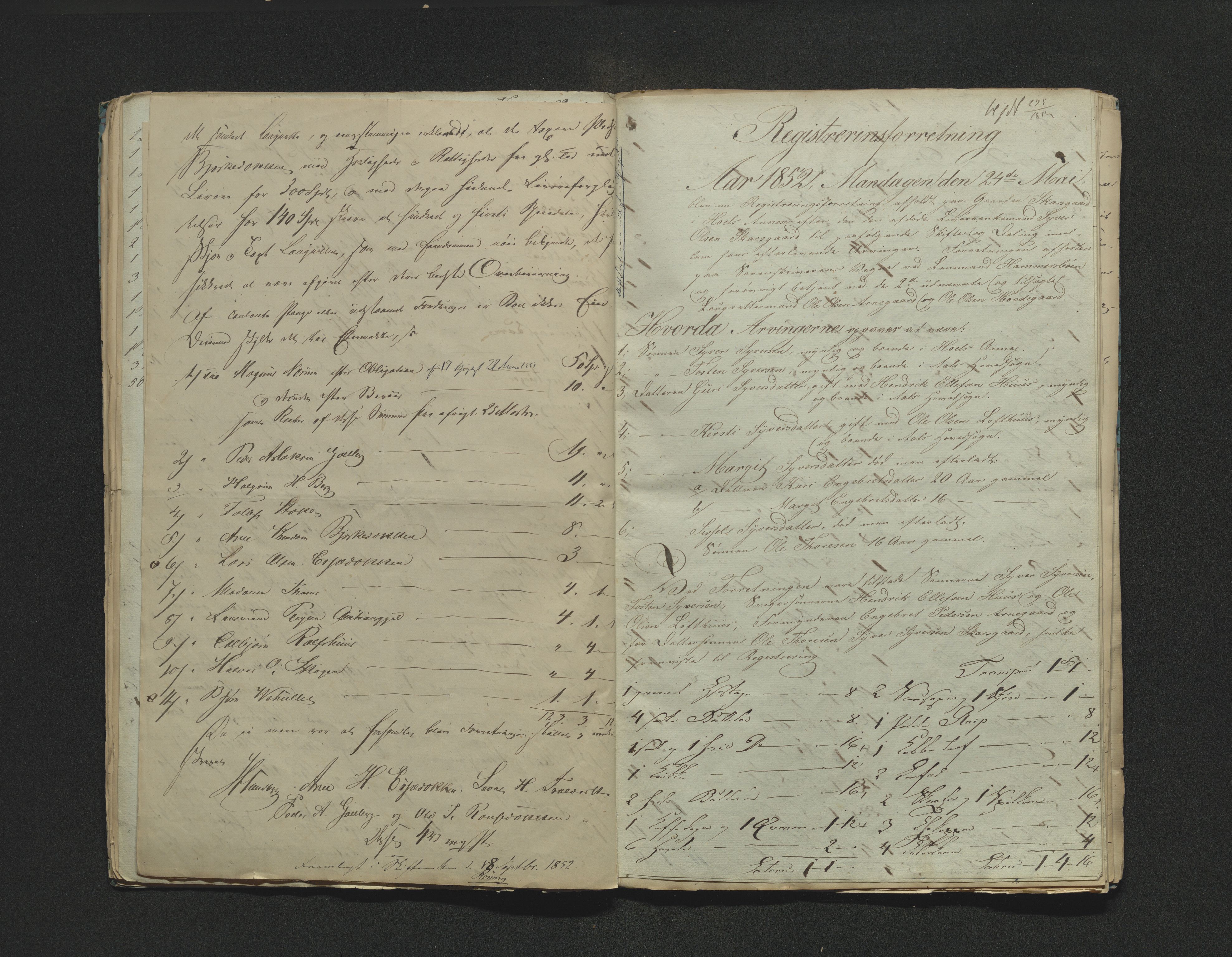 Hallingdal sorenskriveri, AV/SAKO-A-121/H/Hb/Hbb/Hbba/L0024: Skifteregistreringsprotokoll, Sorenskriveriet, 1852
