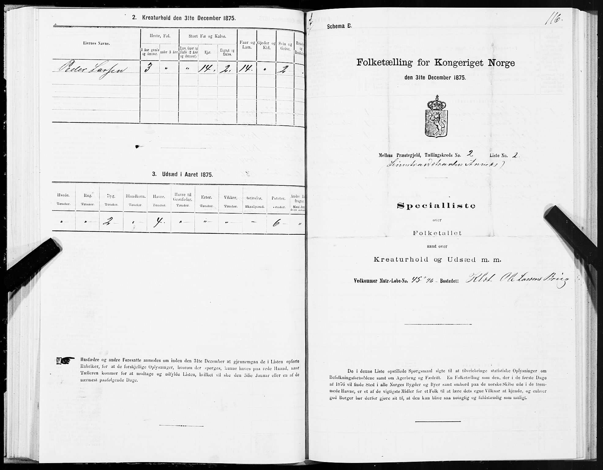 SAT, 1875 census for 1653P Melhus, 1875, p. 8116