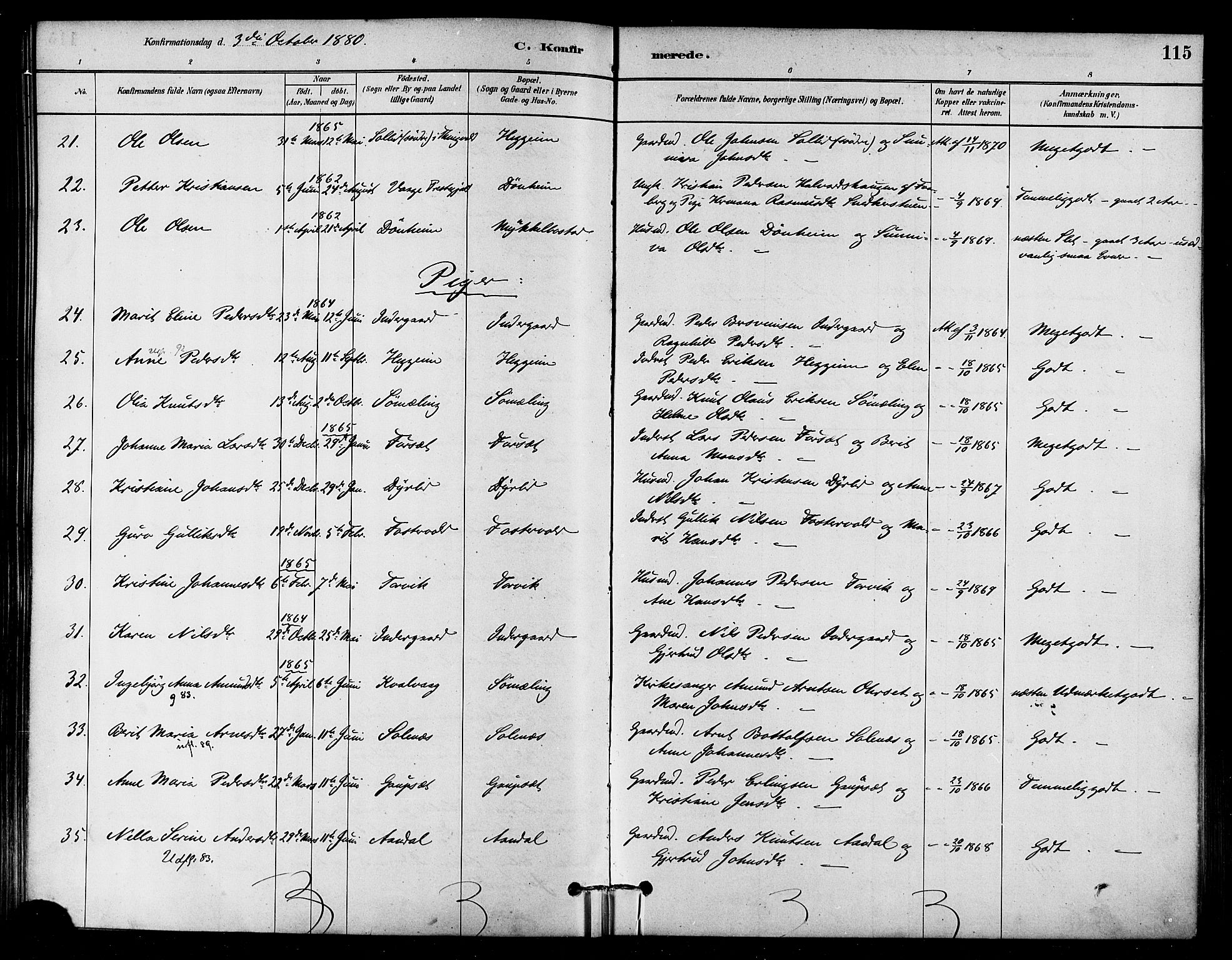 Ministerialprotokoller, klokkerbøker og fødselsregistre - Møre og Romsdal, SAT/A-1454/584/L0967: Parish register (official) no. 584A07, 1879-1894, p. 115