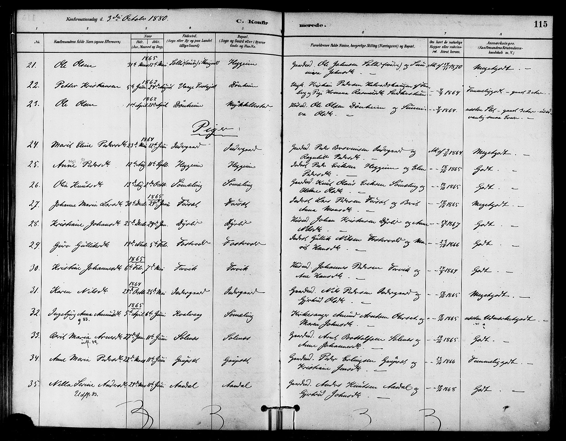 Ministerialprotokoller, klokkerbøker og fødselsregistre - Møre og Romsdal, AV/SAT-A-1454/584/L0967: Parish register (official) no. 584A07, 1879-1894, p. 115