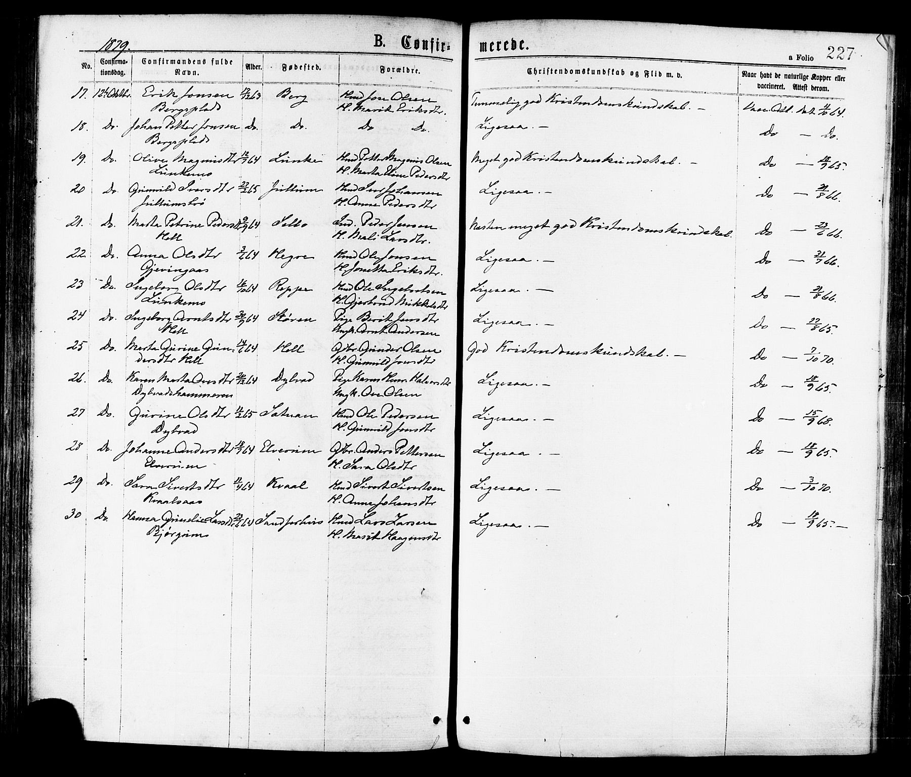 Ministerialprotokoller, klokkerbøker og fødselsregistre - Nord-Trøndelag, SAT/A-1458/709/L0076: Parish register (official) no. 709A16, 1871-1879, p. 227