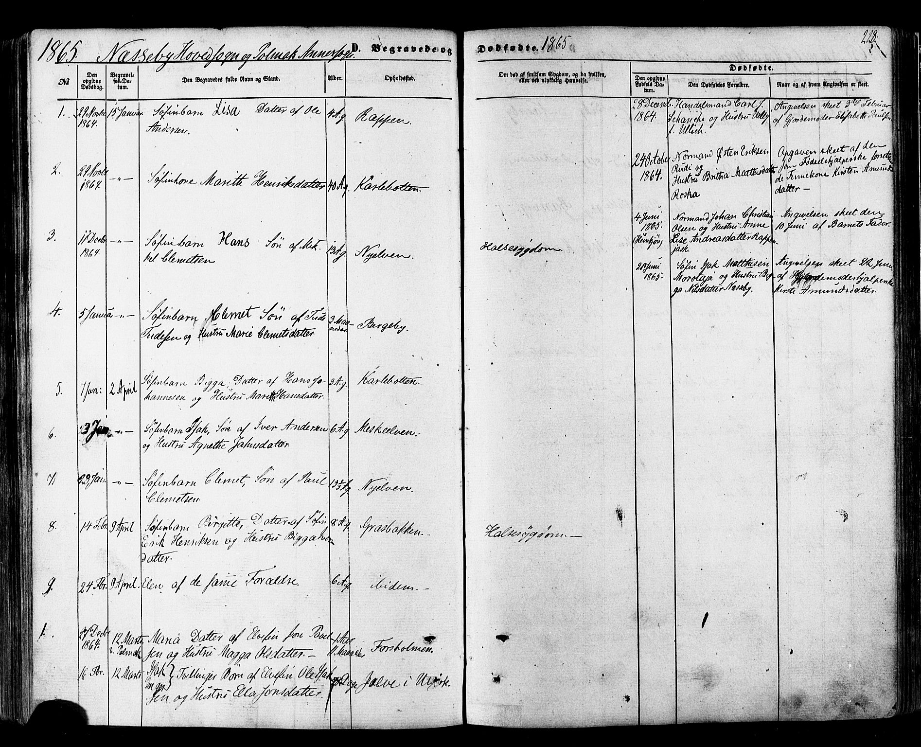 Nesseby sokneprestkontor, SATØ/S-1330/H/Ha/L0003kirke: Parish register (official) no. 3 /1, 1865-1876, p. 228