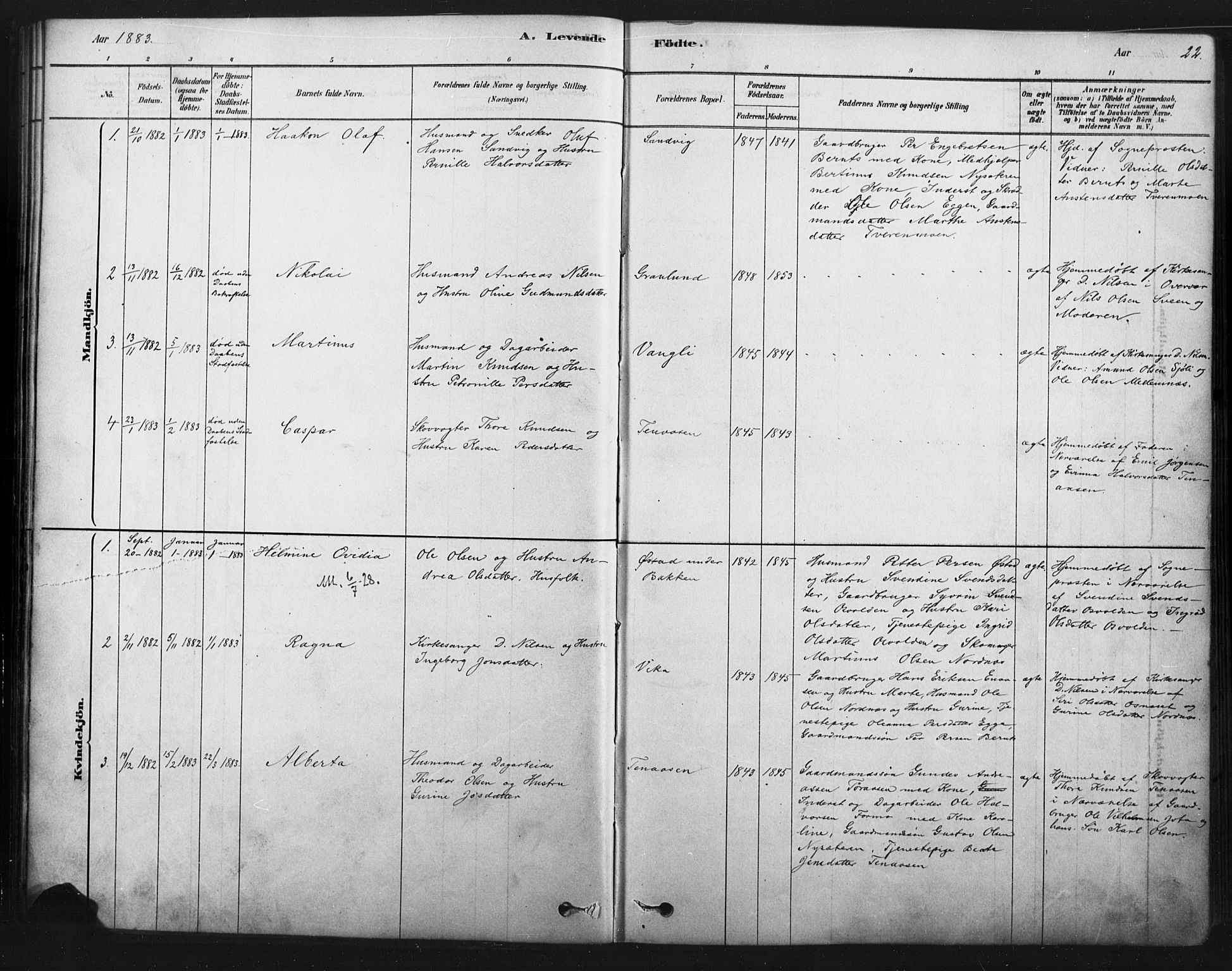 Åmot prestekontor, Hedmark, AV/SAH-PREST-056/H/Ha/Haa/L0012: Parish register (official) no. 12, 1878-1901, p. 22