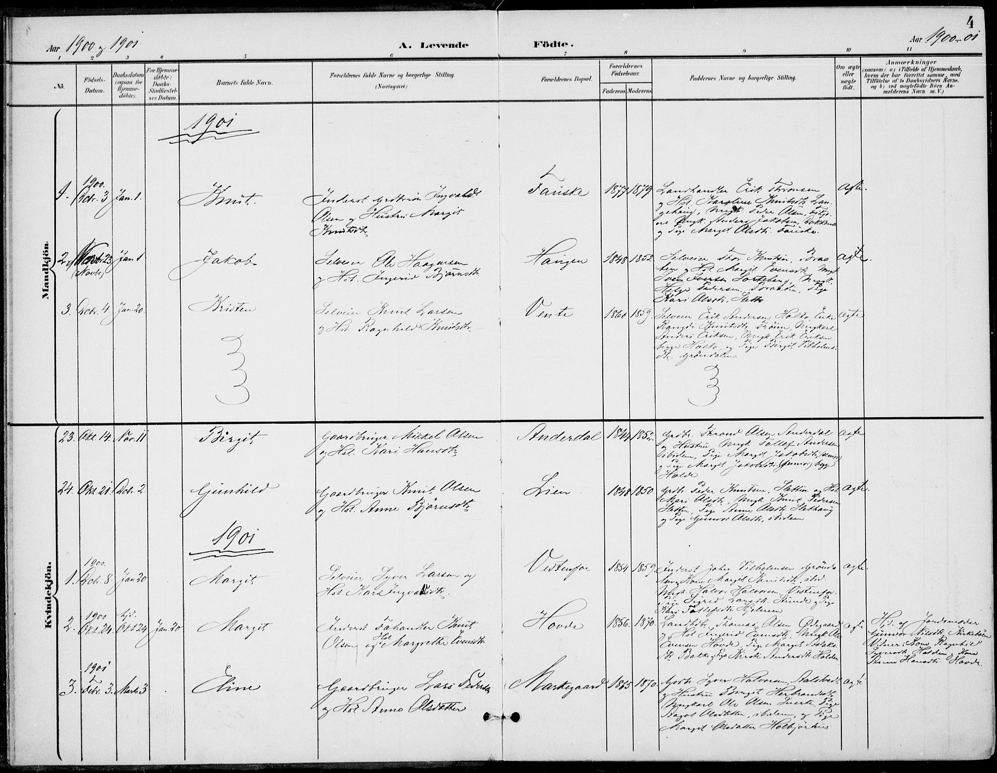 Gol kirkebøker, AV/SAKO-A-226/F/Fb/L0002: Parish register (official) no. II 2, 1900-1921, p. 4