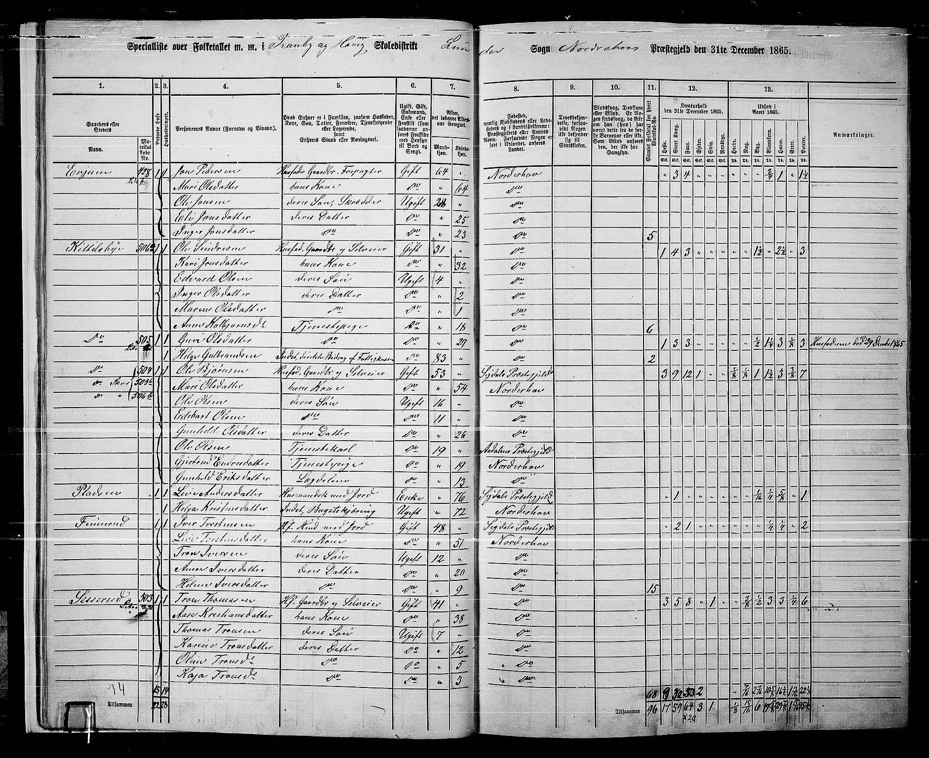 RA, 1865 census for Norderhov/Norderhov, Haug og Lunder, 1865, p. 19