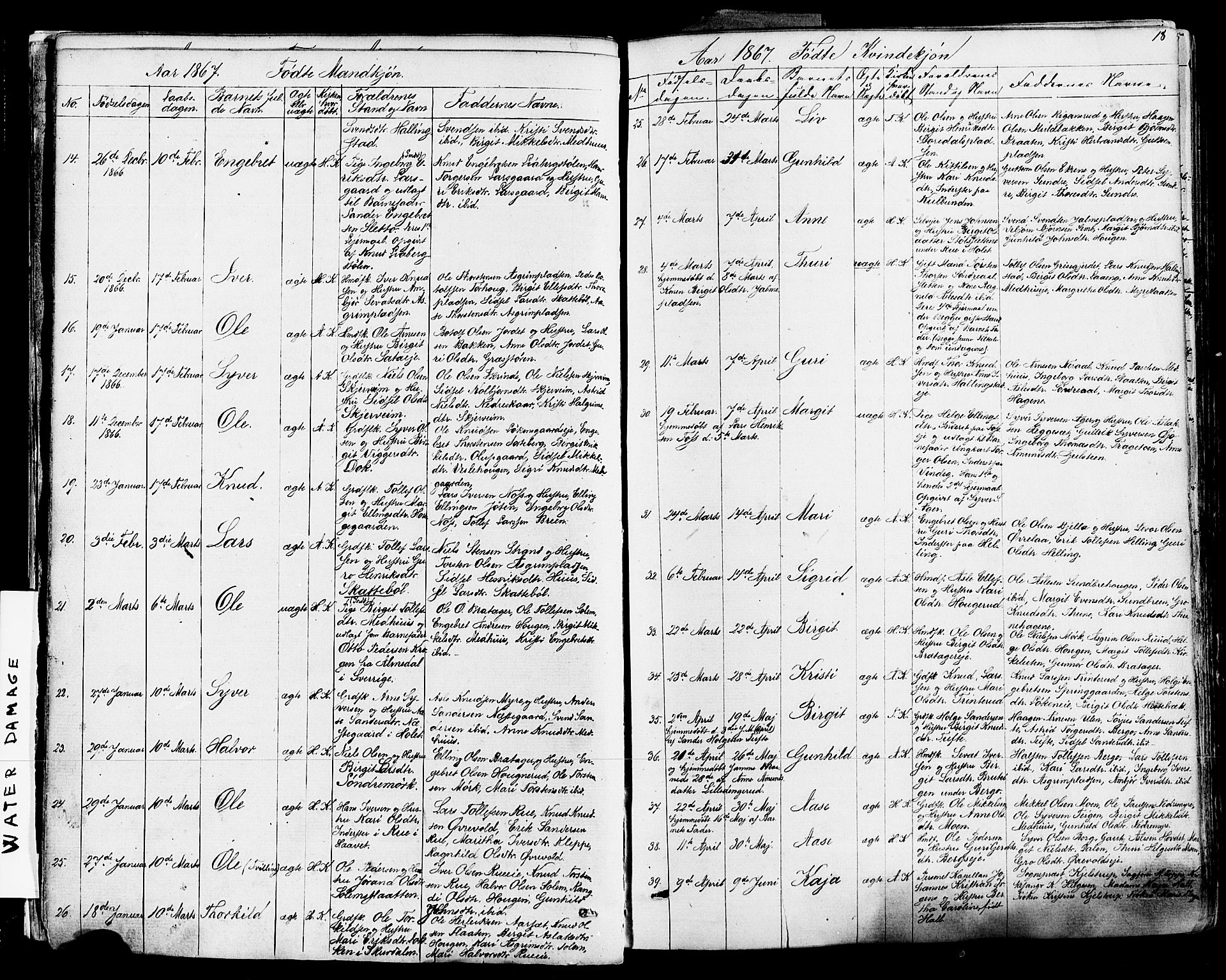 Ål kirkebøker, SAKO/A-249/F/Fa/L0007: Parish register (official) no. I 7, 1865-1881, p. 18
