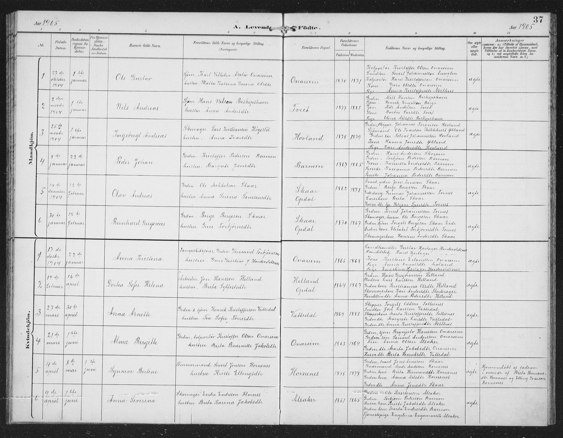 Tysnes sokneprestembete, SAB/A-78601/H/Hab: Parish register (copy) no. C 2, 1896-1907, p. 37