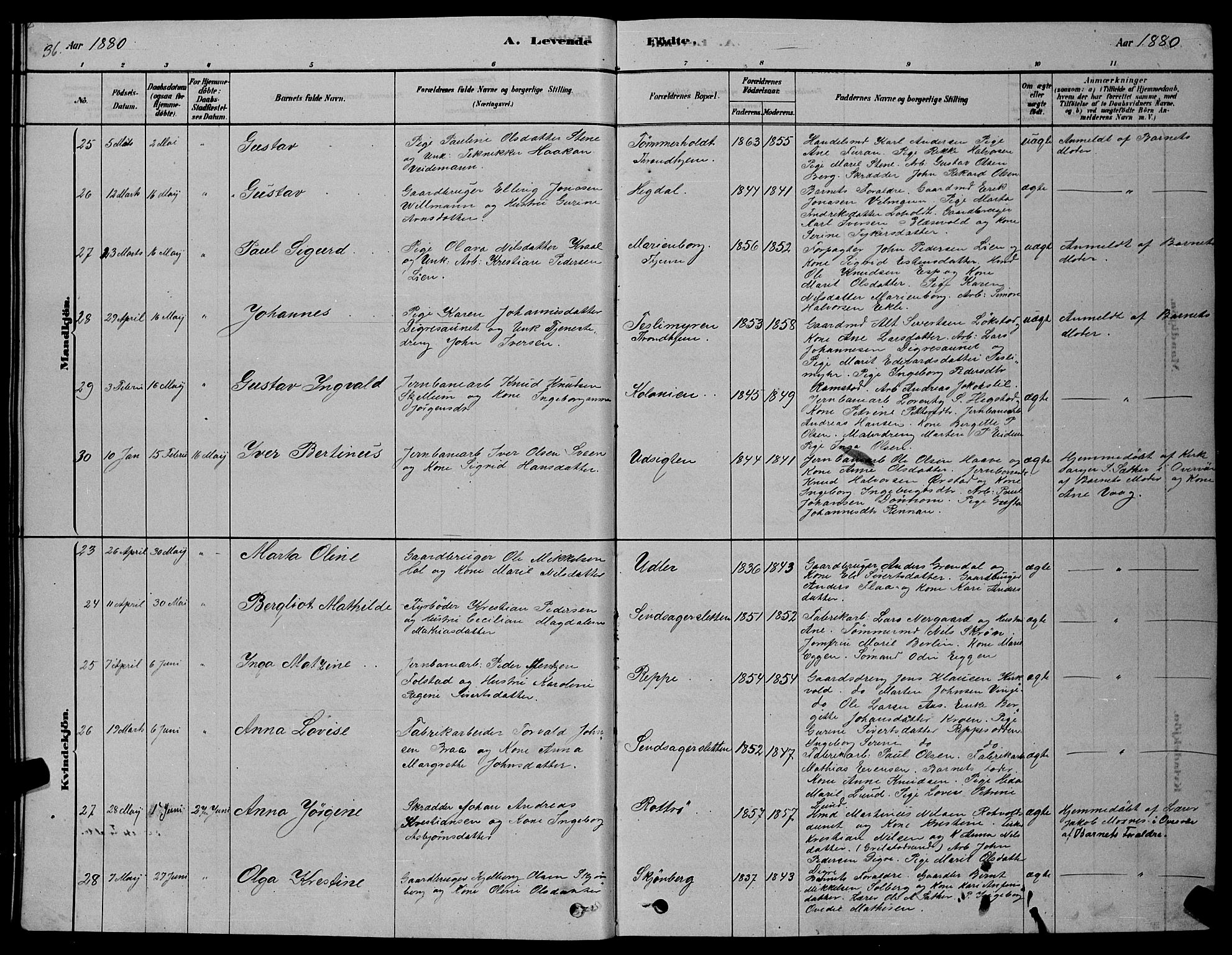 Ministerialprotokoller, klokkerbøker og fødselsregistre - Sør-Trøndelag, SAT/A-1456/606/L0312: Parish register (copy) no. 606C08, 1878-1894, p. 36