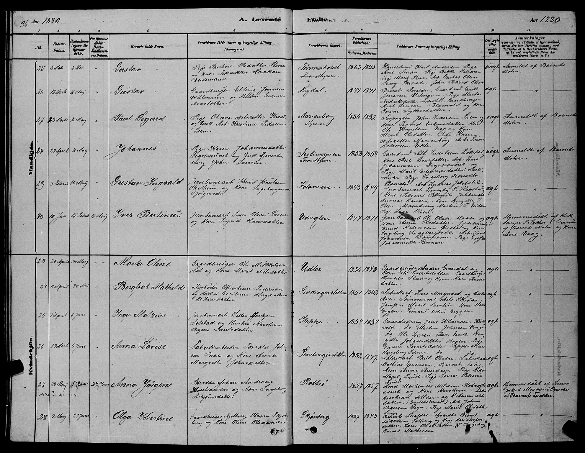 Ministerialprotokoller, klokkerbøker og fødselsregistre - Sør-Trøndelag, AV/SAT-A-1456/606/L0312: Parish register (copy) no. 606C08, 1878-1894, p. 36