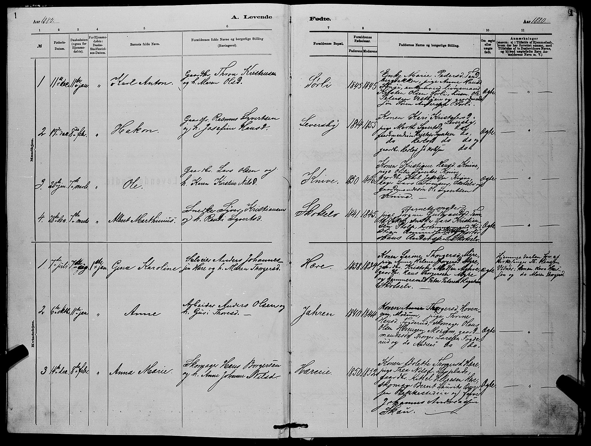 Eiker kirkebøker, AV/SAKO-A-4/G/Gb/L0003: Parish register (copy) no. II 3, 1880-1893, p. 1