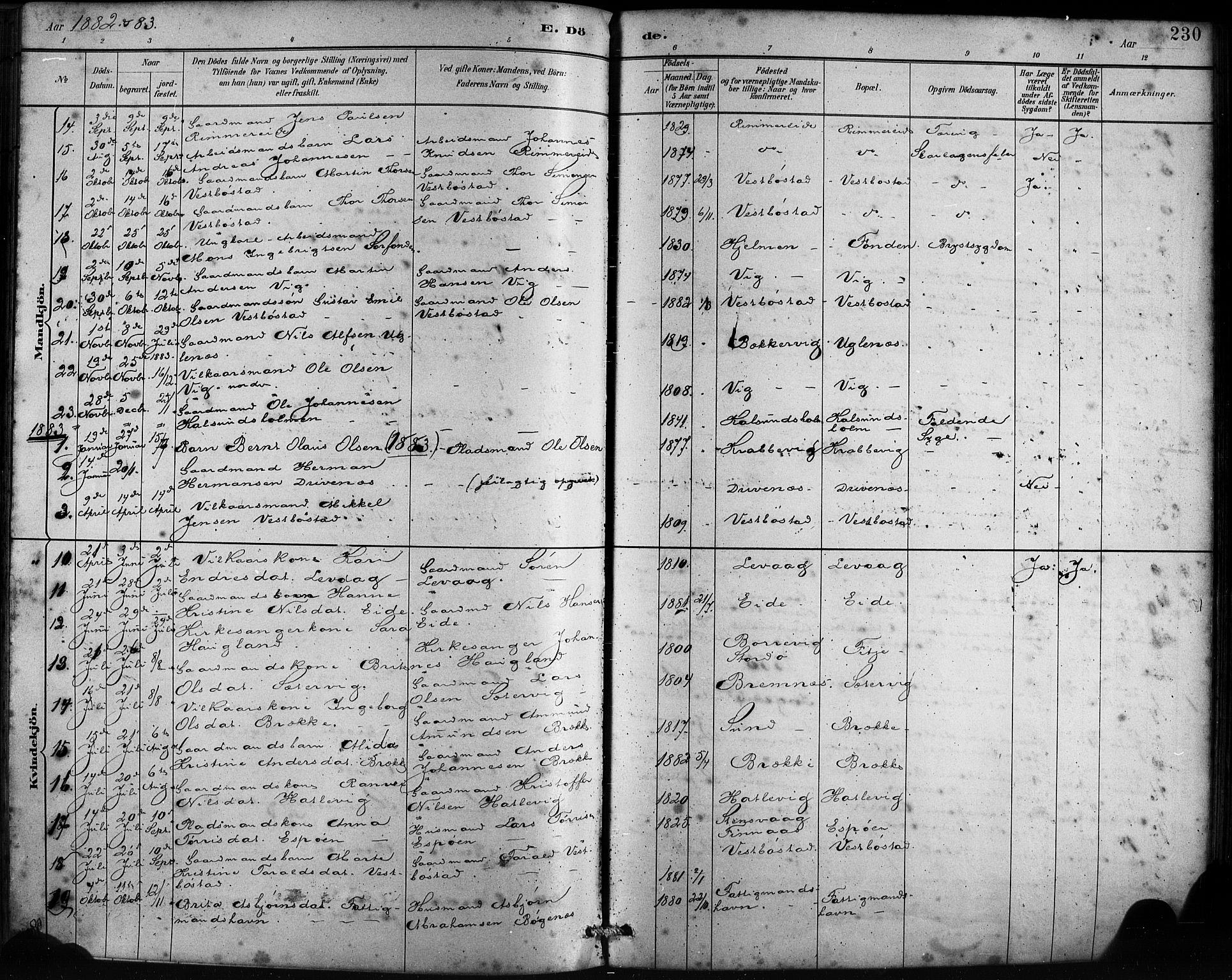 Fitjar sokneprestembete, AV/SAB-A-99926: Parish register (official) no. A 2, 1882-1899, p. 230