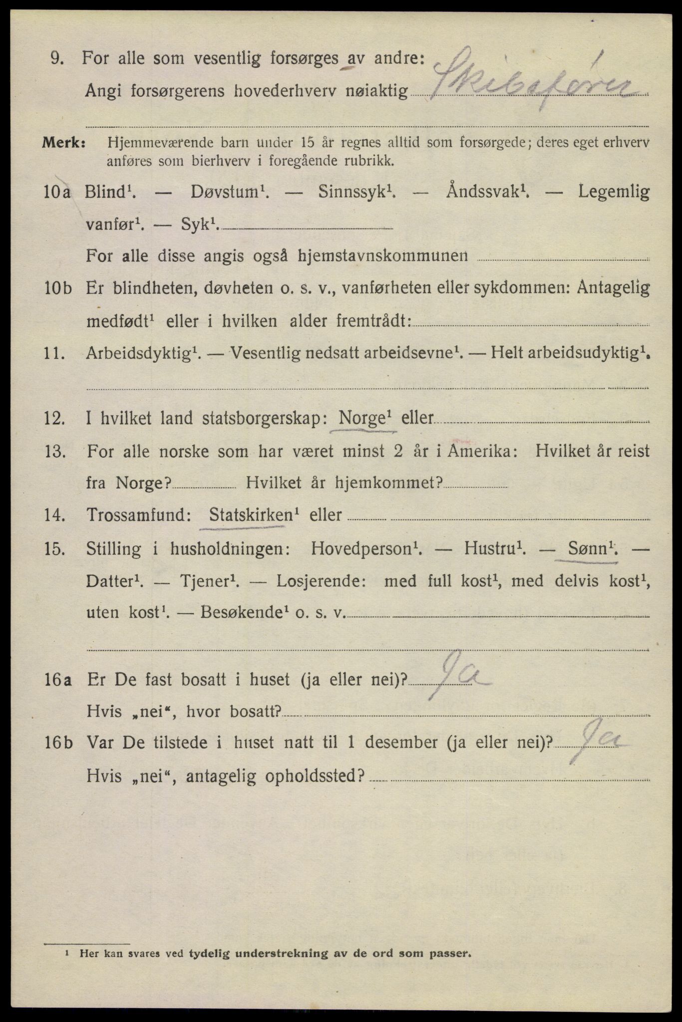 SAKO, 1920 census for Kragerø, 1920, p. 10006