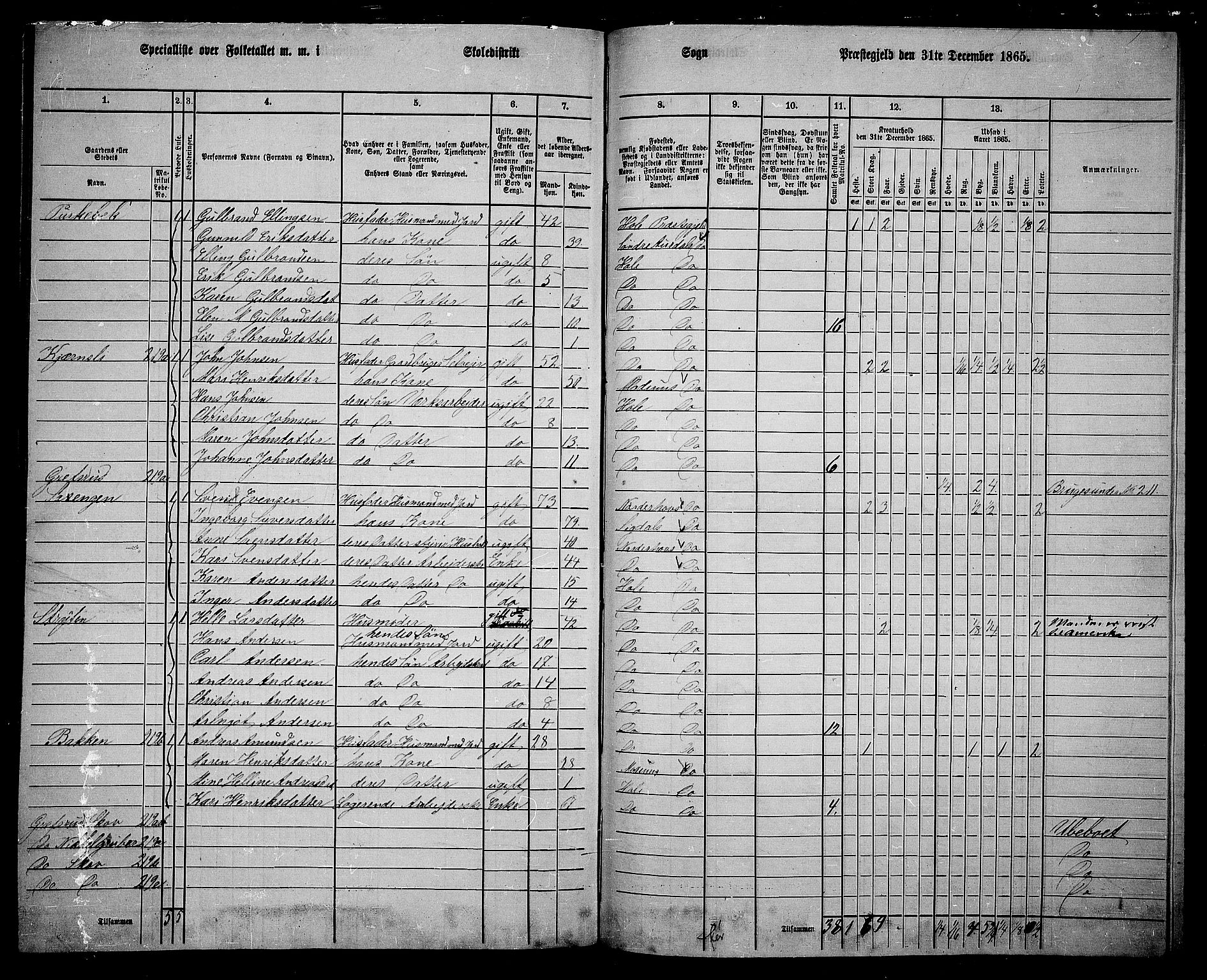 RA, 1865 census for Hole, 1865, p. 151