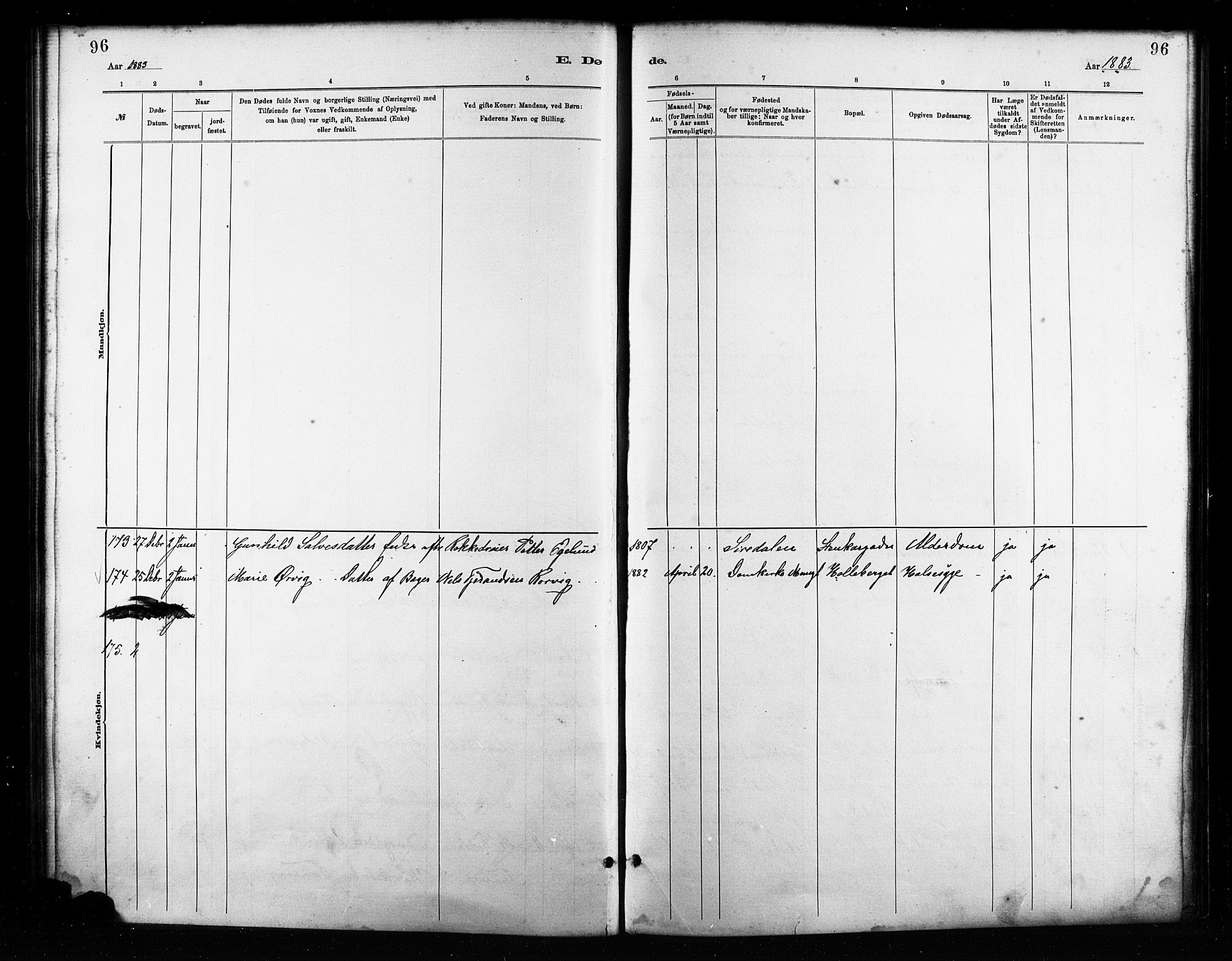 St. Petri sokneprestkontor, AV/SAST-A-101813/001/30/30BA/L0017: Parish register (official) no. A 17, 1879-1895, p. 96