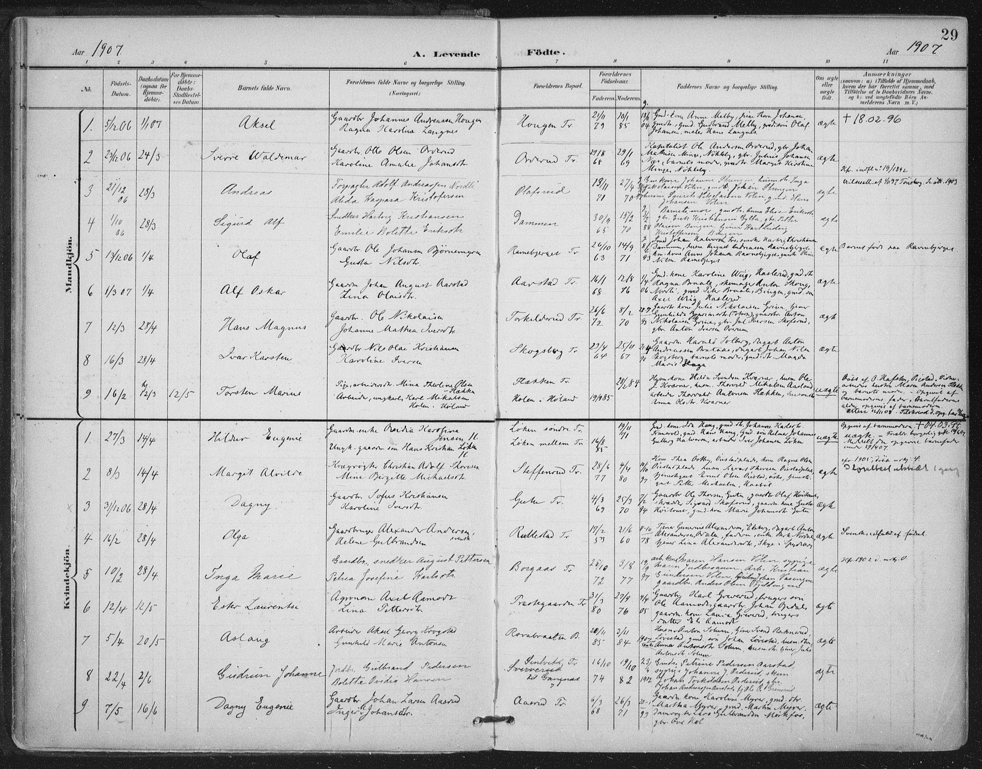 Trøgstad prestekontor Kirkebøker, AV/SAO-A-10925/F/Fa/L0011: Parish register (official) no. I 11, 1899-1919, p. 29