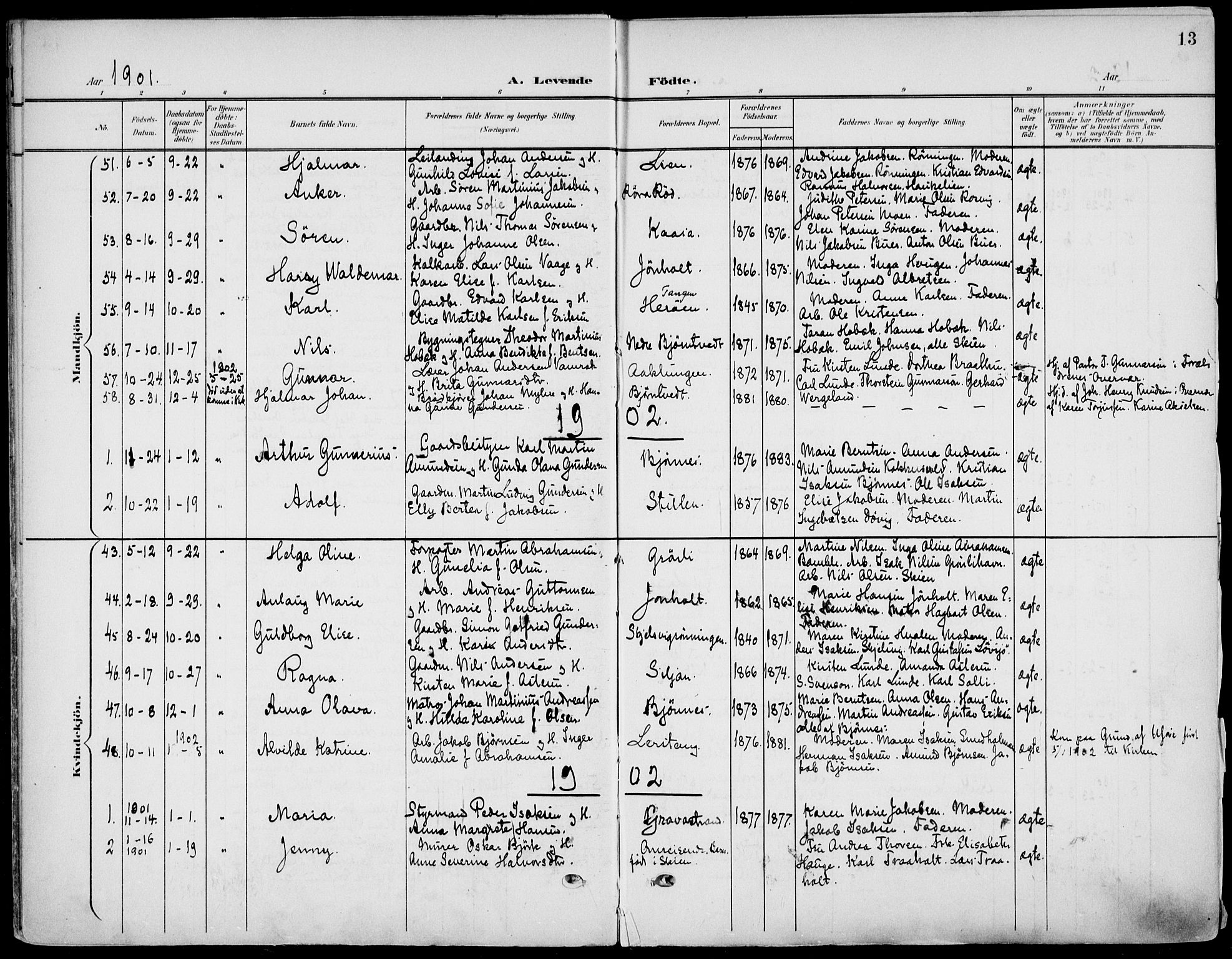 Eidanger kirkebøker, AV/SAKO-A-261/F/Fa/L0013: Parish register (official) no. 13, 1900-1913, p. 13